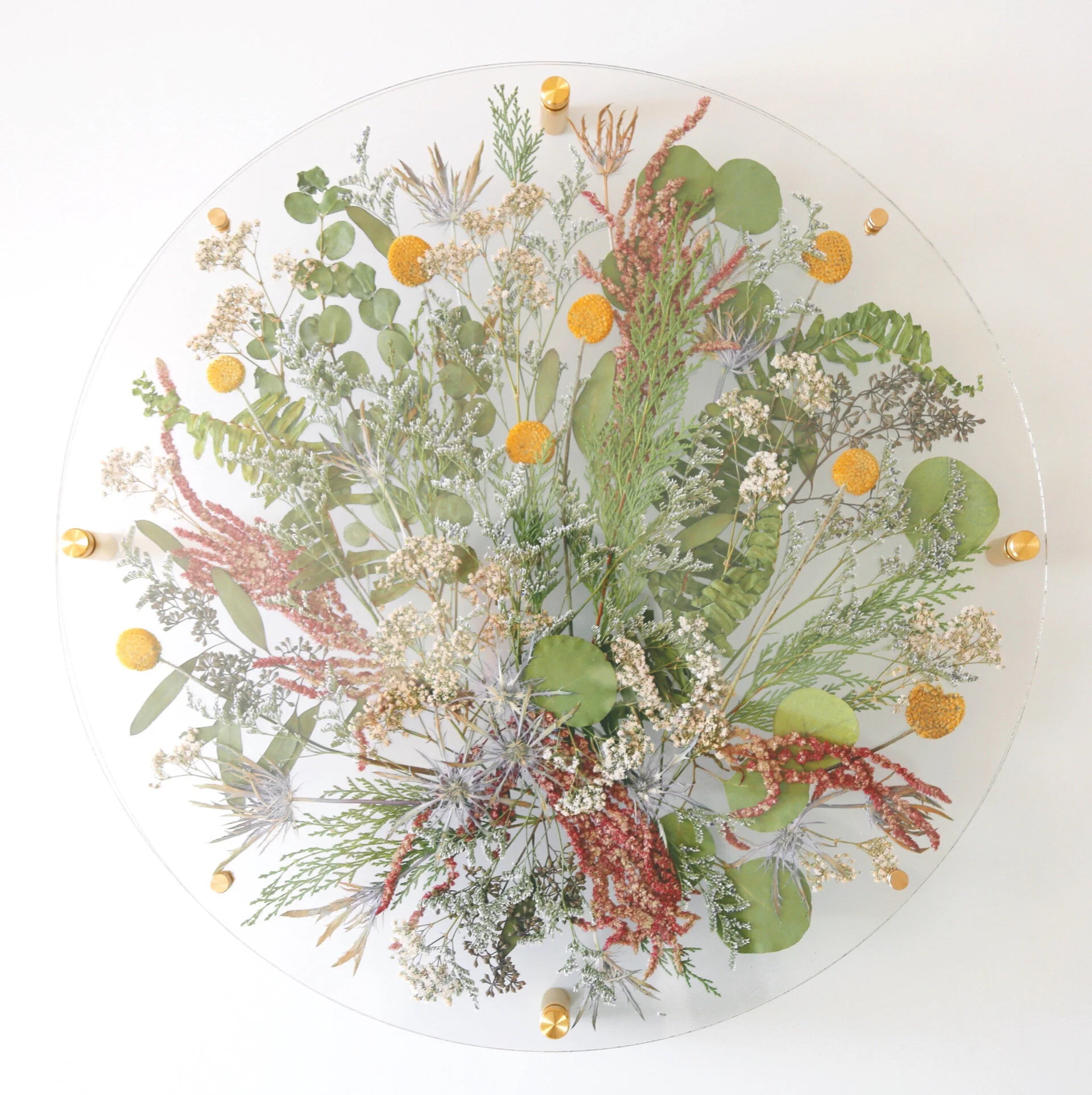 6B2A95A2-5E60-46B9-B63C-A04A55D98118