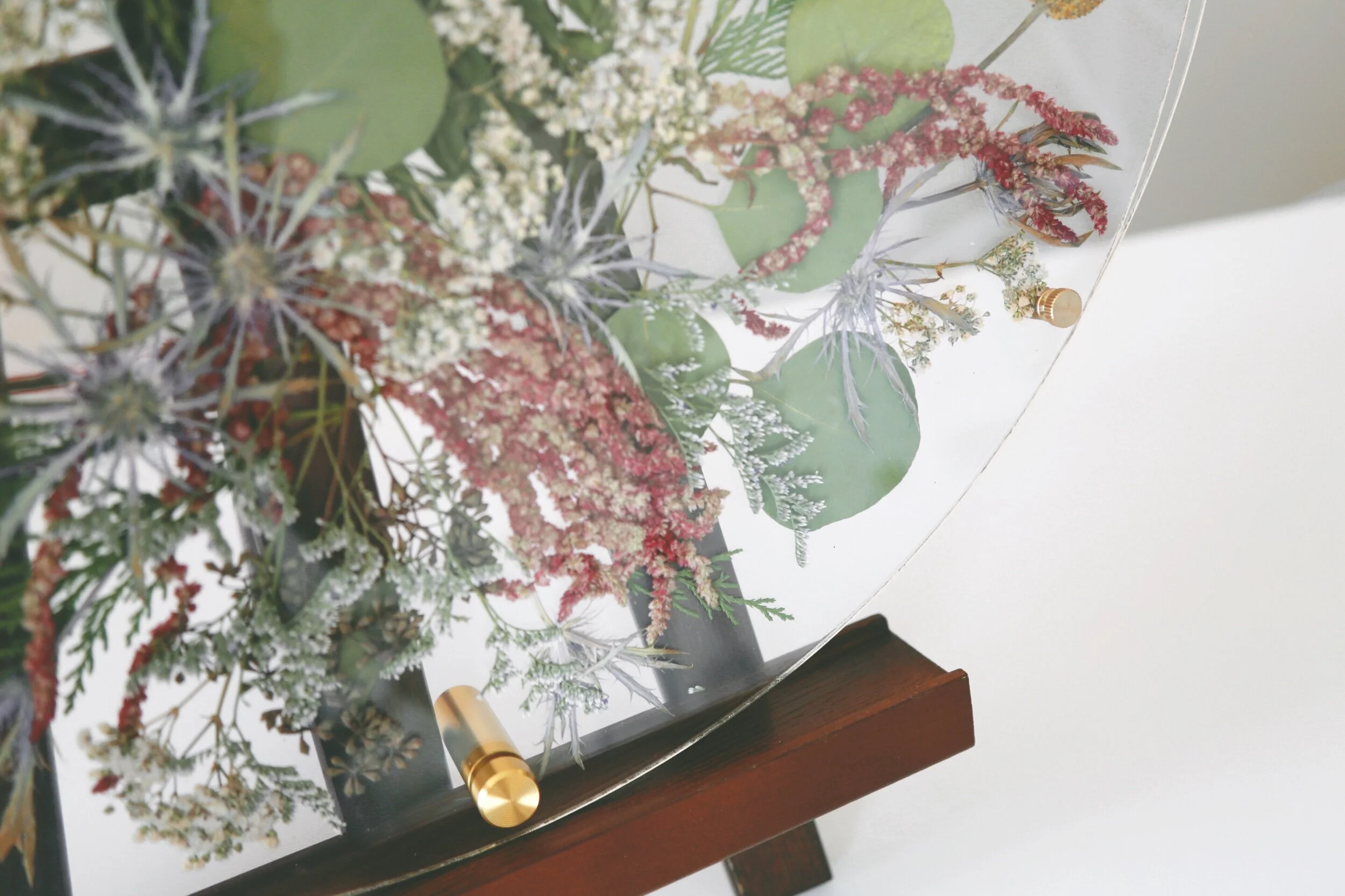 BED4929D-1165-4D06-9407-4A4D981C7958