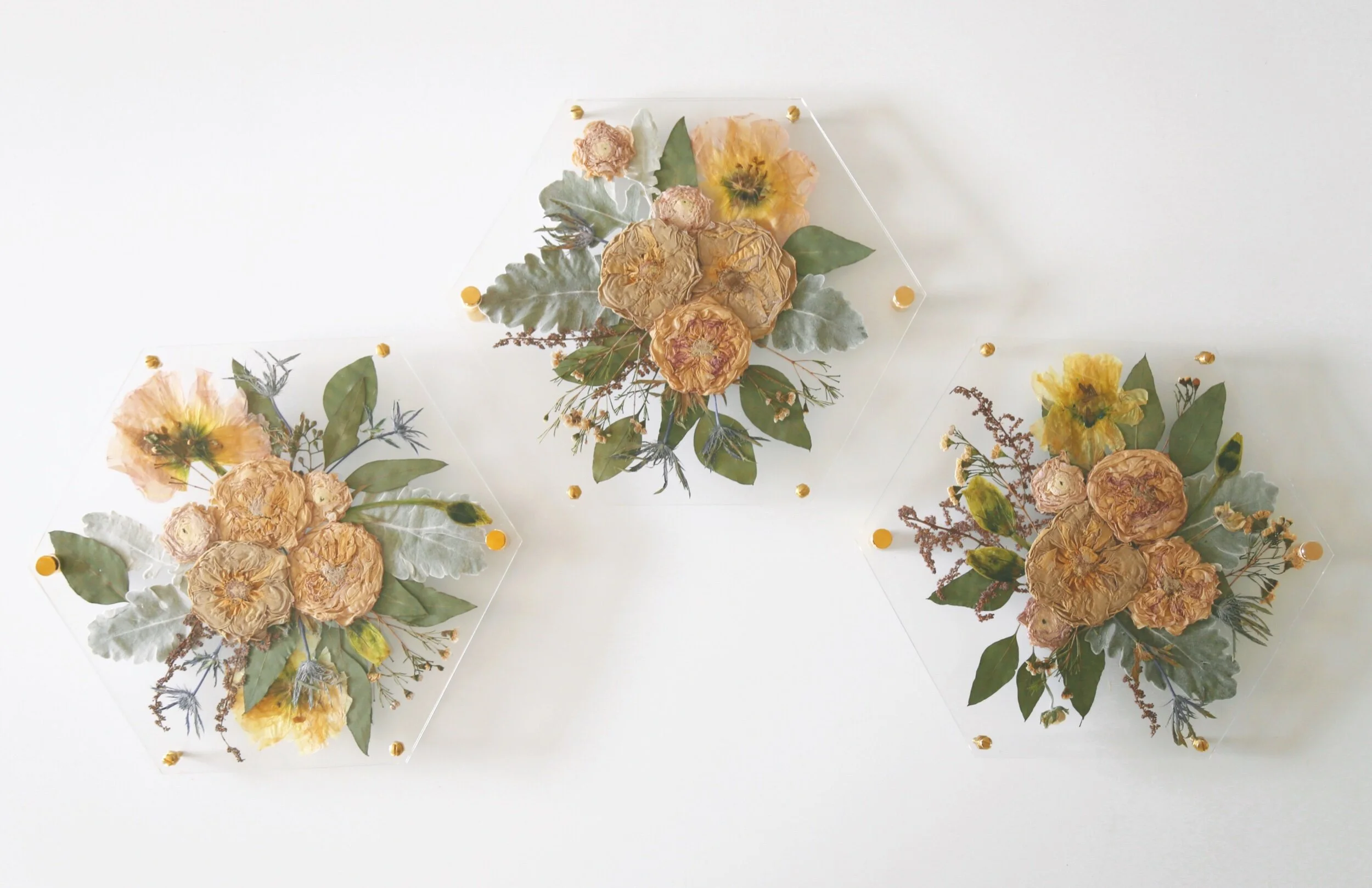 FBE4BED9-B568-4D9B-9303-2DC9D6FB3BF1