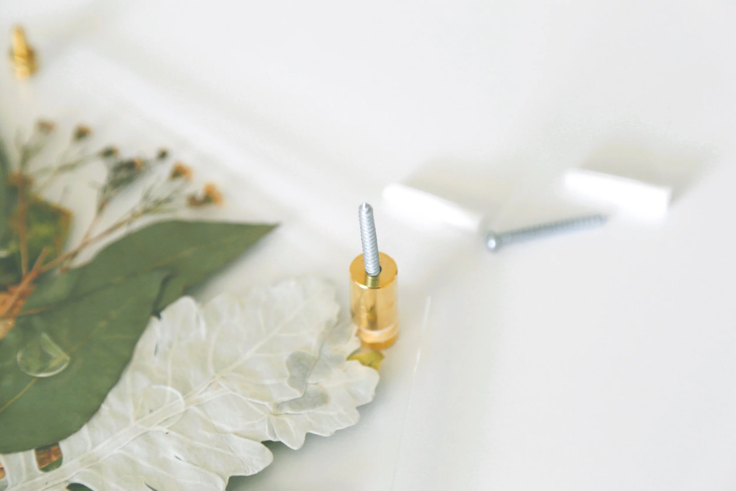 33B7EA03-6D31-457F-B6BC-18877BDB0B54