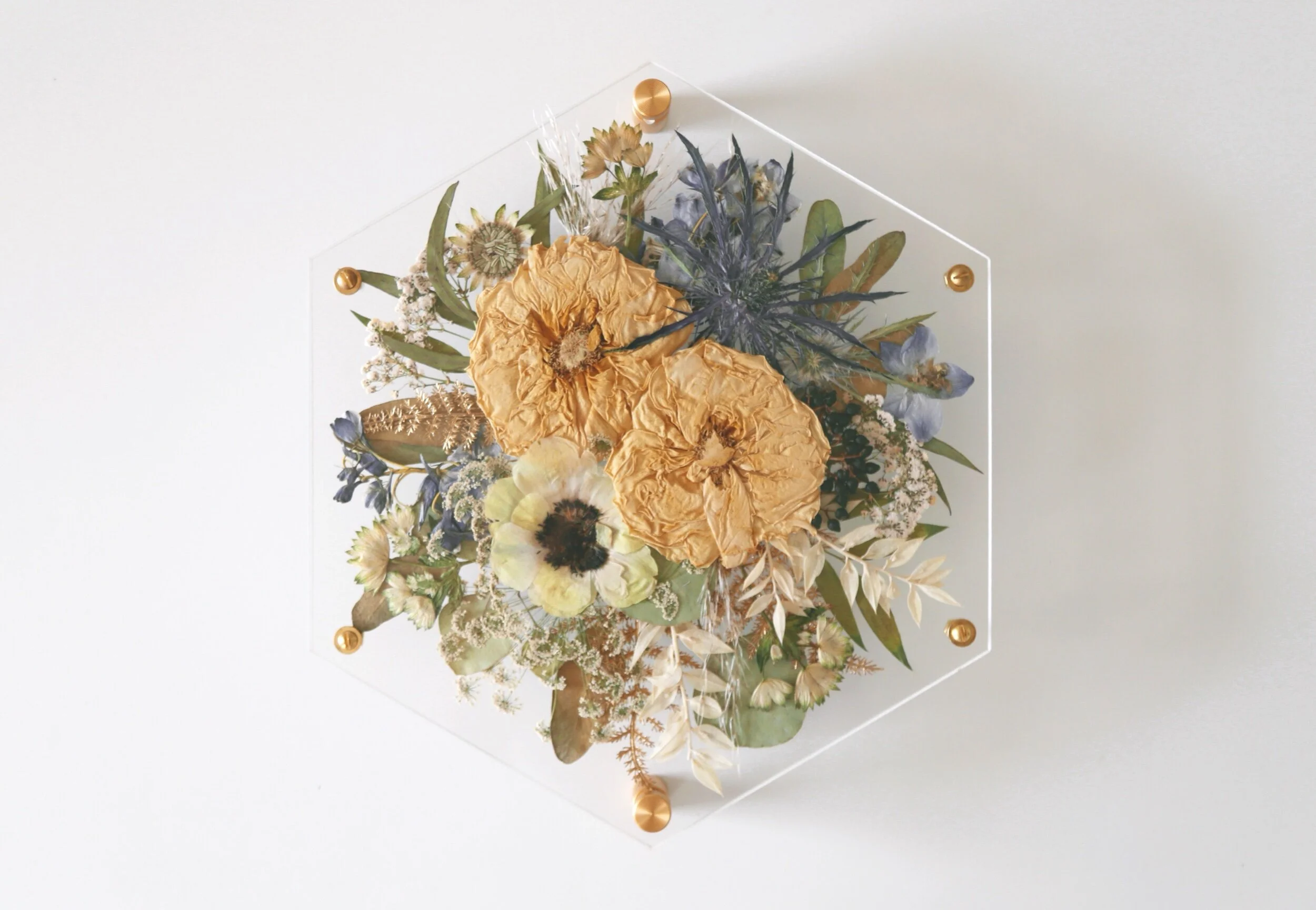 6EFAFE0B-746F-4BED-96D6-8A77DDD2E5BD