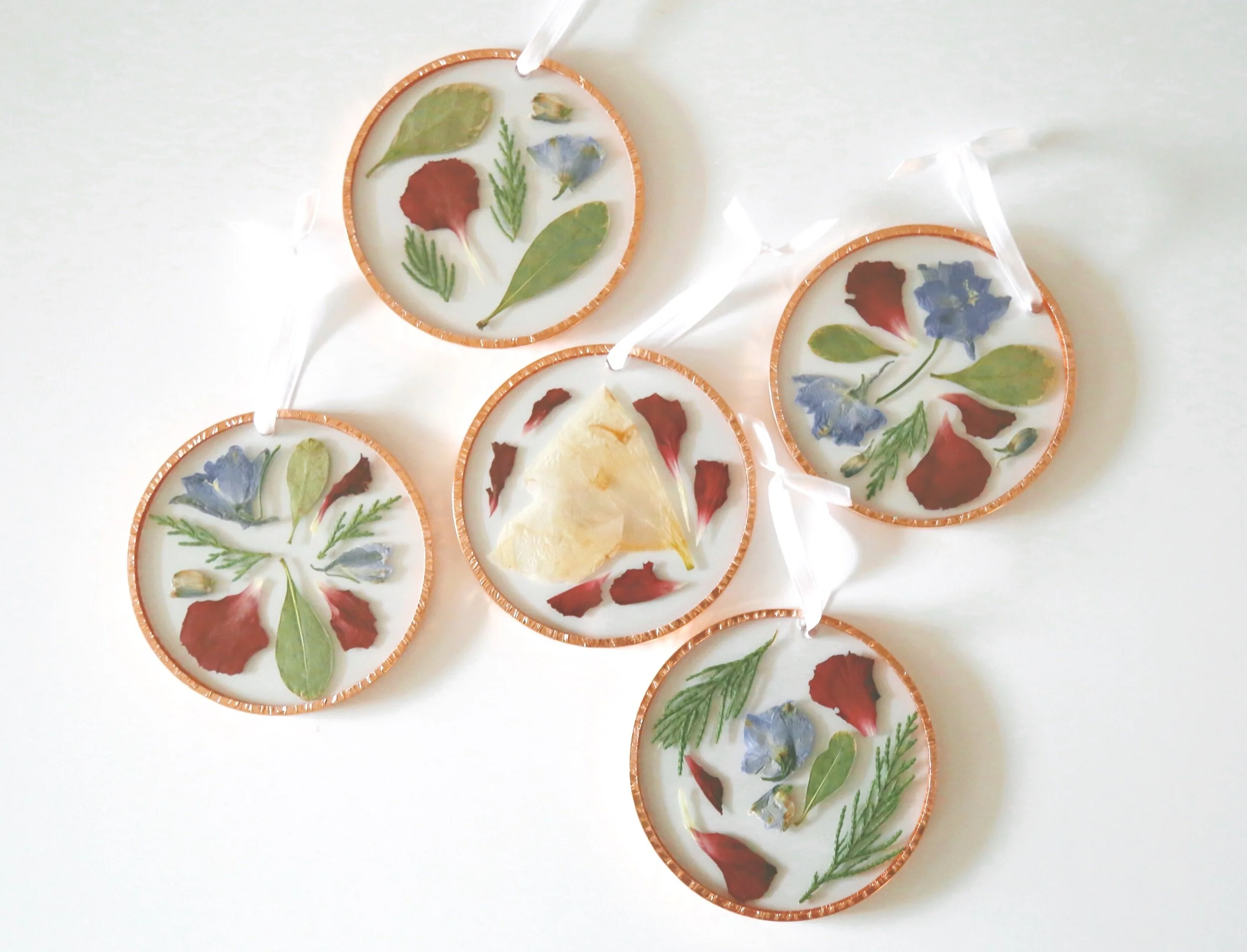 C185C02E-C853-4589-ADE6-0CA3BE355E6A