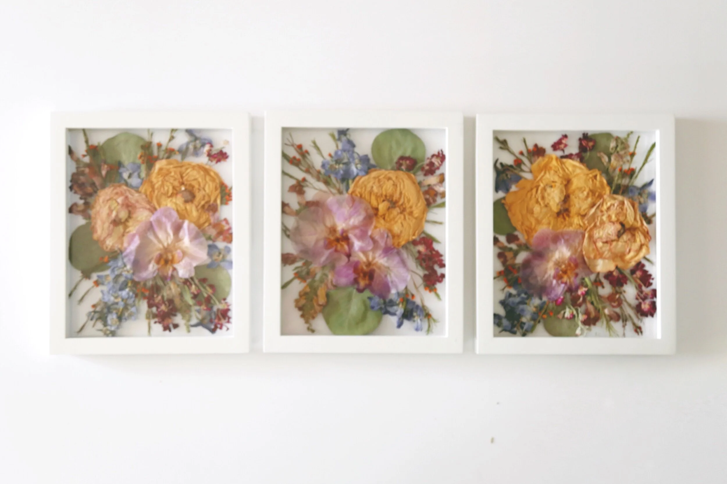 672AFEC5-E231-495B-9FA6-62C982C33637