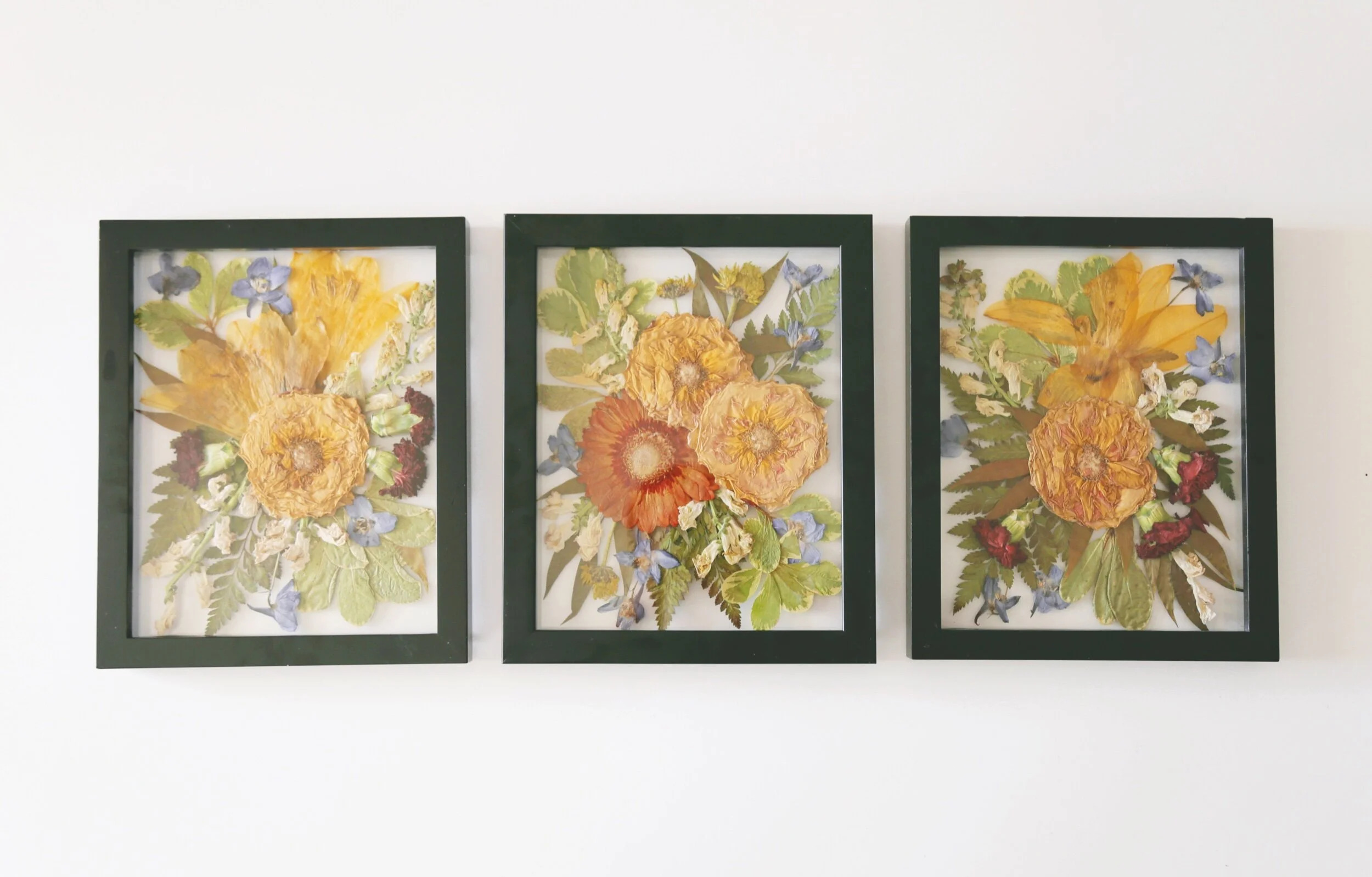 F5C1519F-9664-48B2-835E-6D0C515DE88A