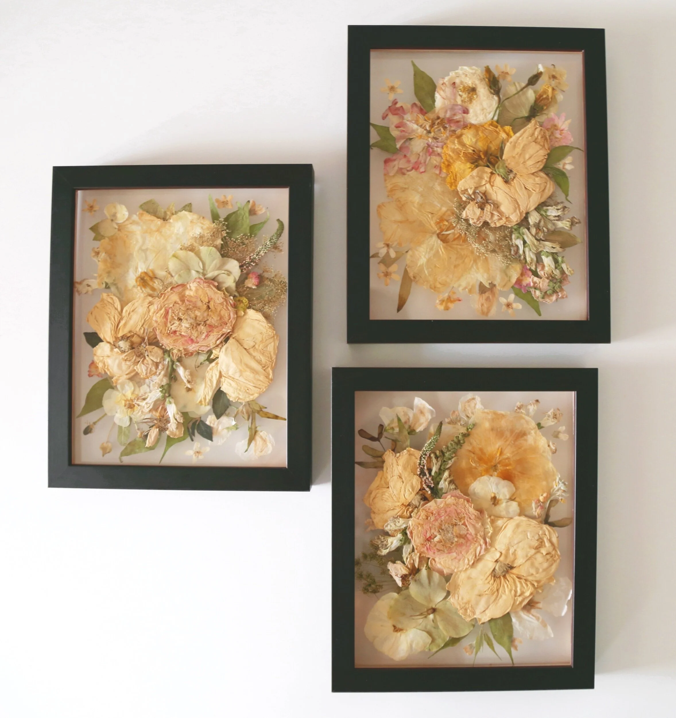 43AD755C-F63E-4517-9C62-31CC79C3AB43