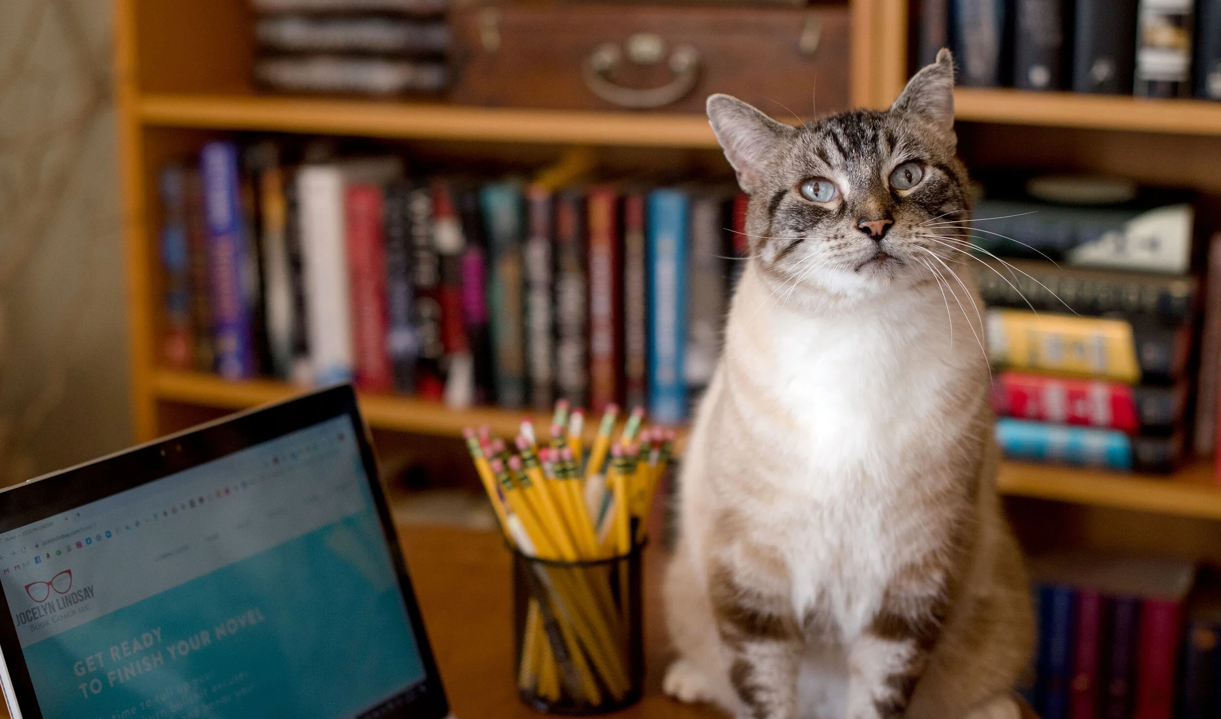 one thing that will help your writing right now