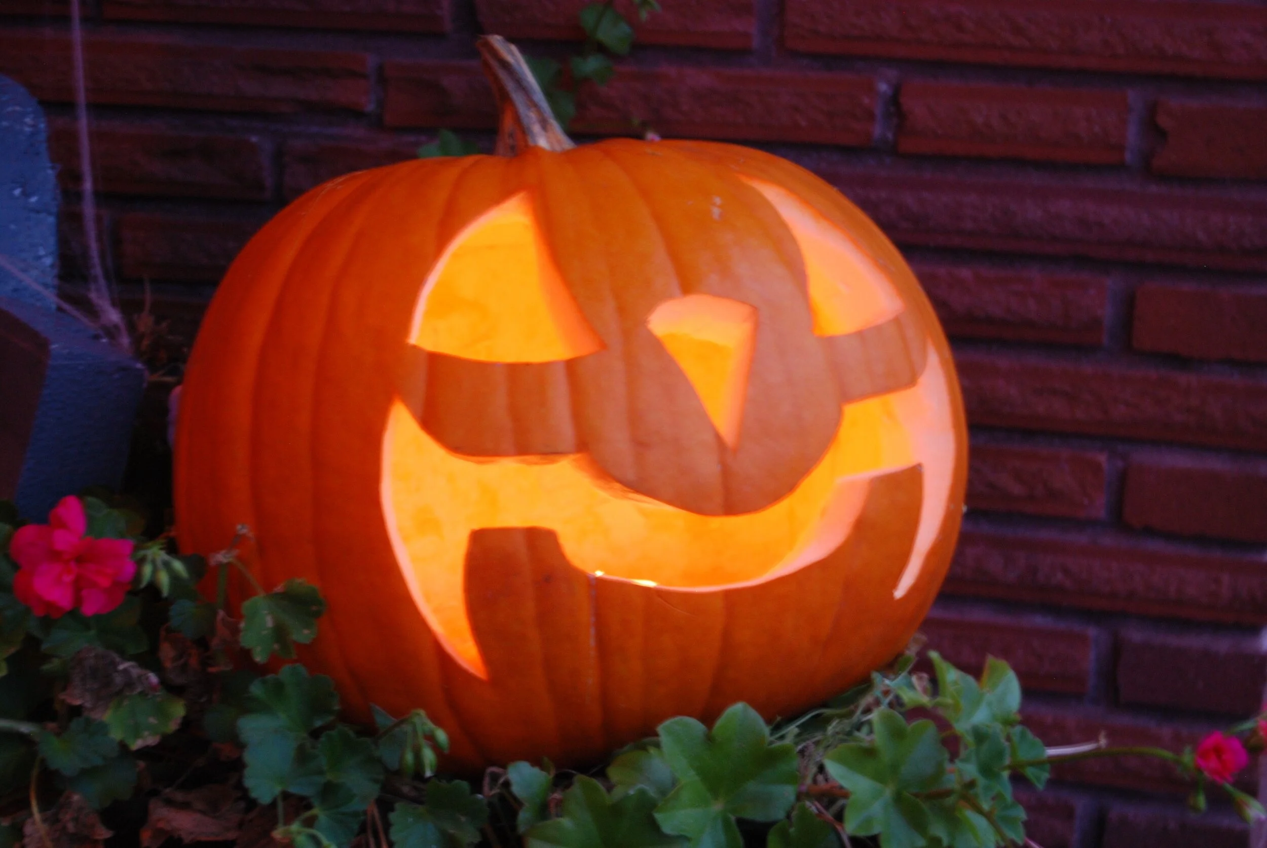 one, two, Freddy's coming for you