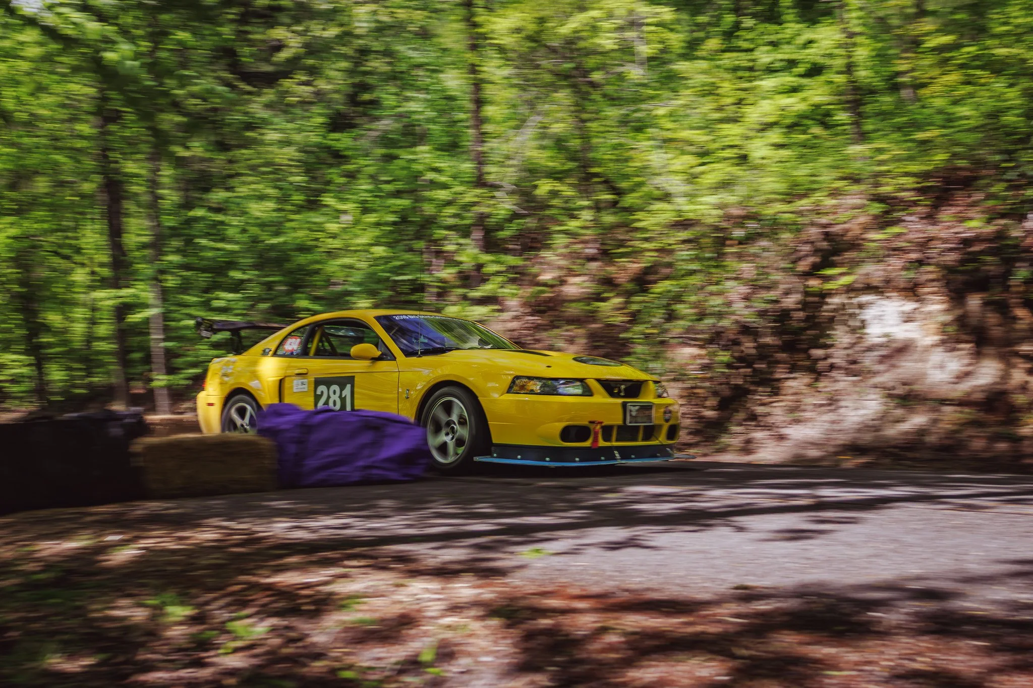 7B1A8183.jpg