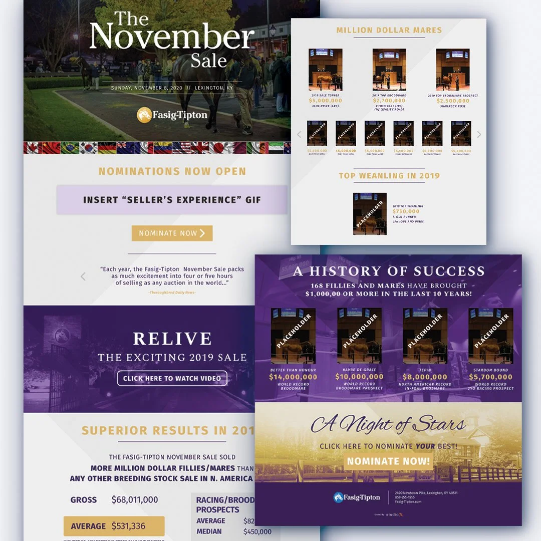 Luxury Thoroughbred Sales Website