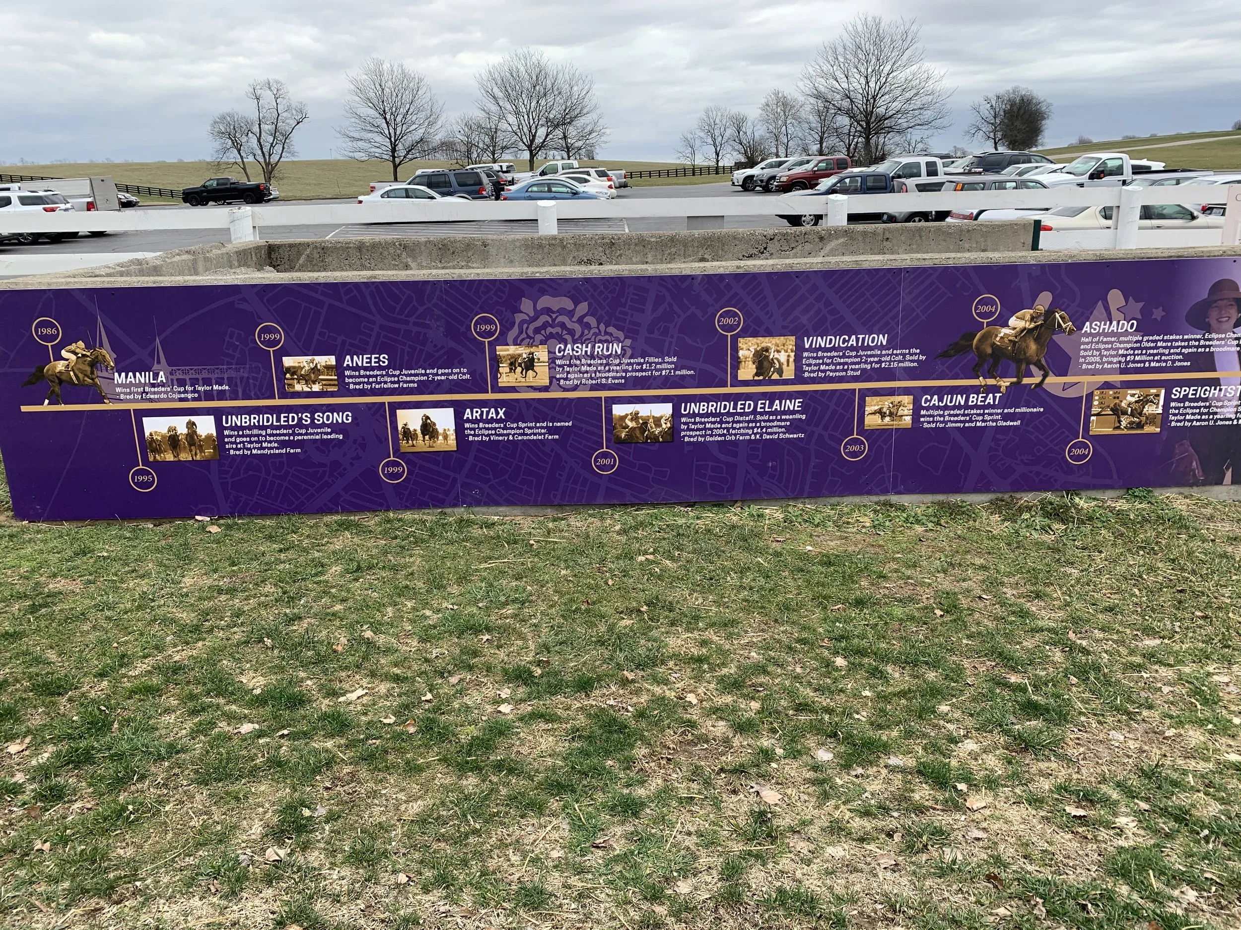 Vinyl Timeline Wrap on Muck Stall