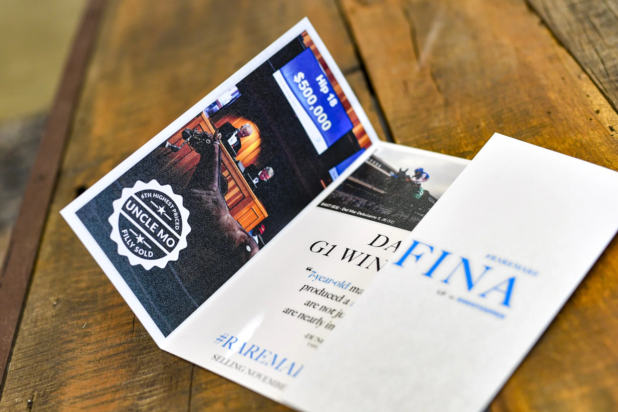 Luxury Trifold Brochure