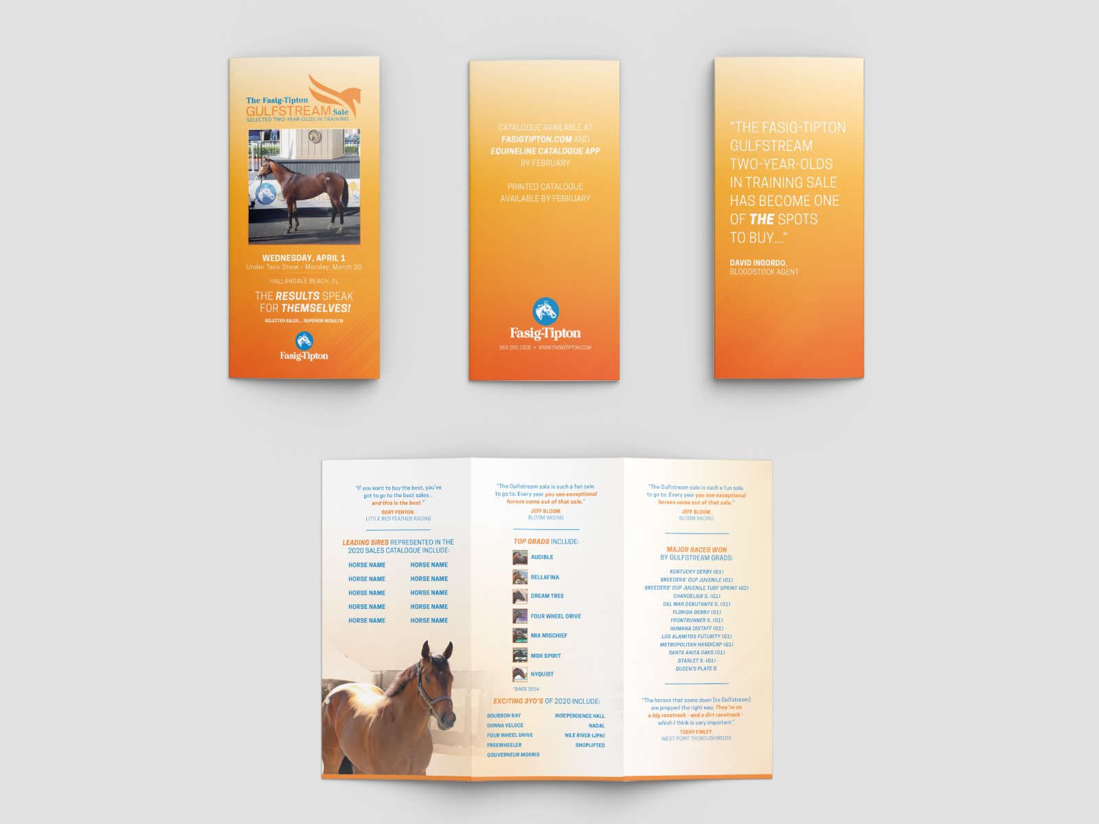 Informative Brochure