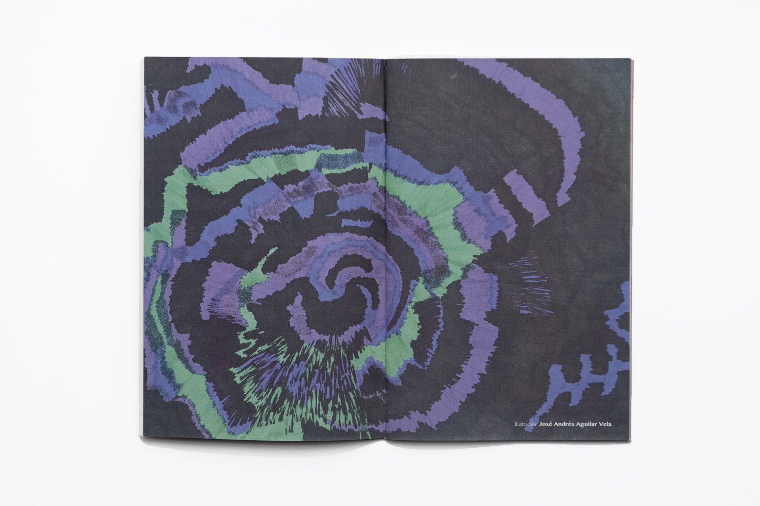 Amor.Zine-1600.jpg