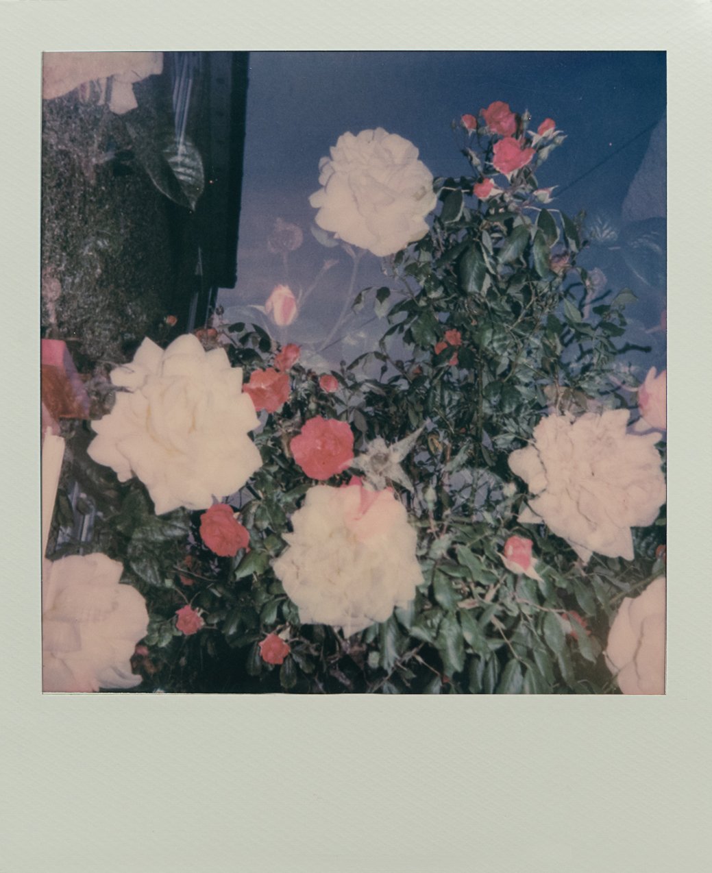 Polaroid.AB-8955.jpg