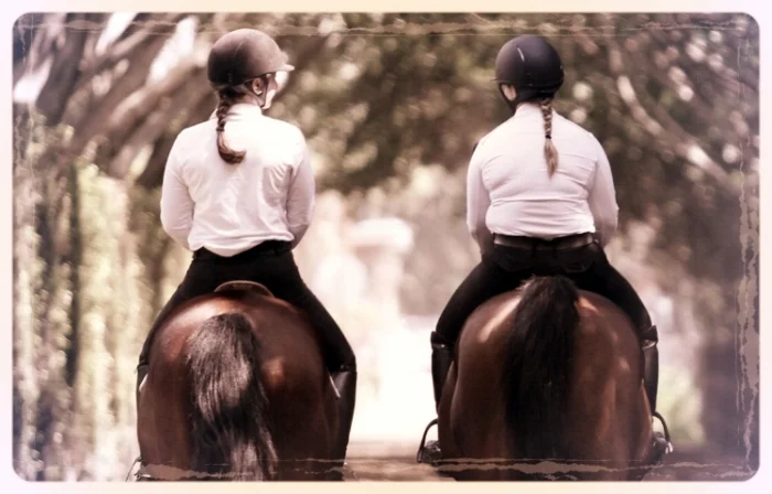 bridlepath_mist.jpg