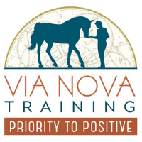 Via Nova Training 200x200.png