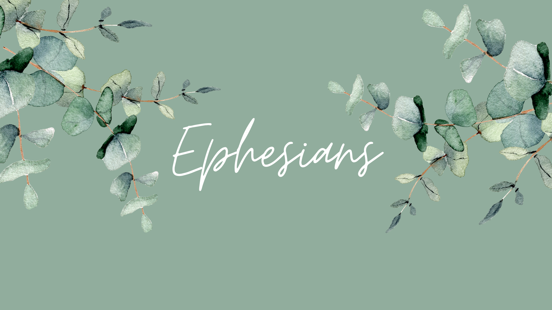 Women's Bible Study