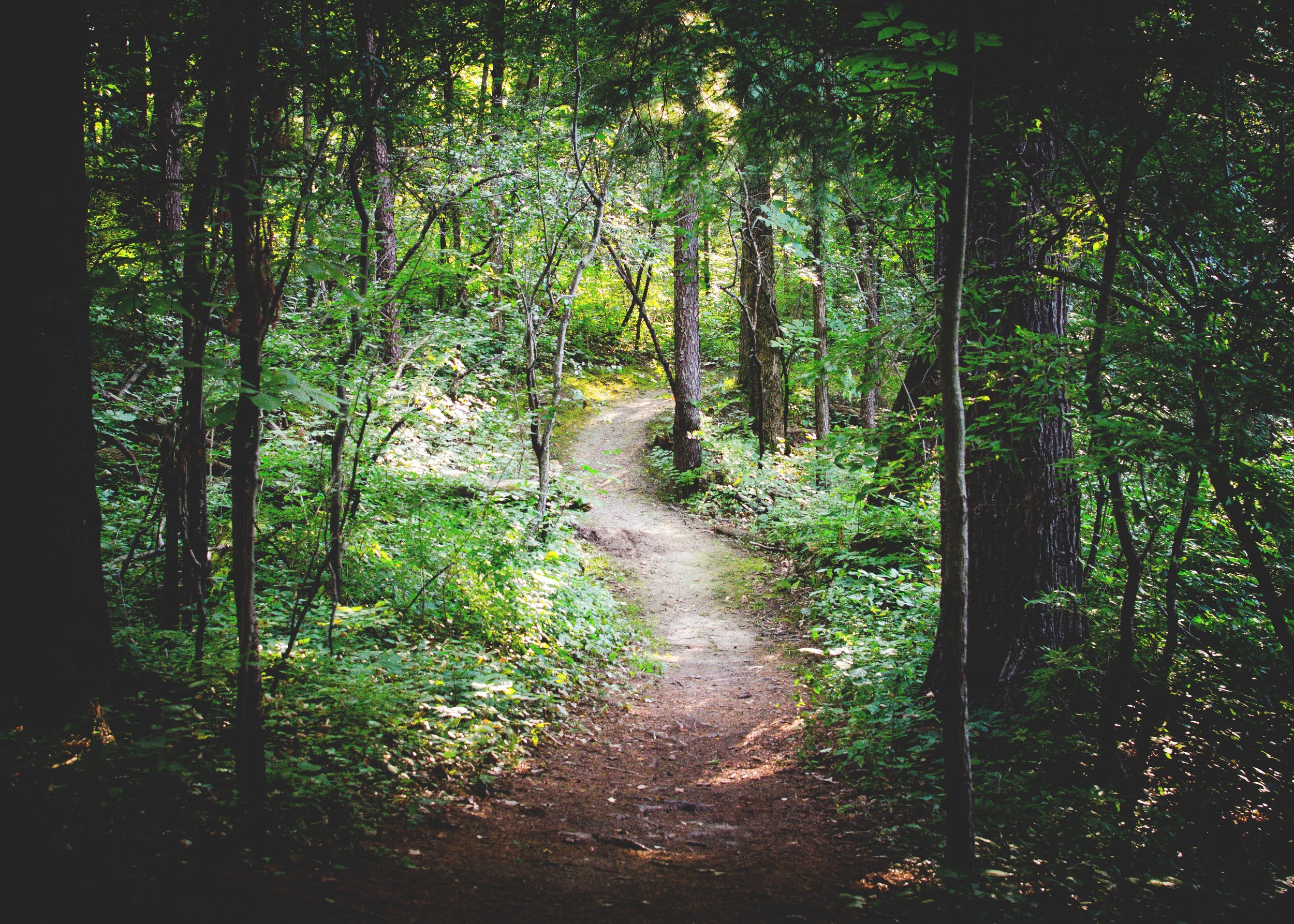 zack-silver-49053-unsplash.jpg