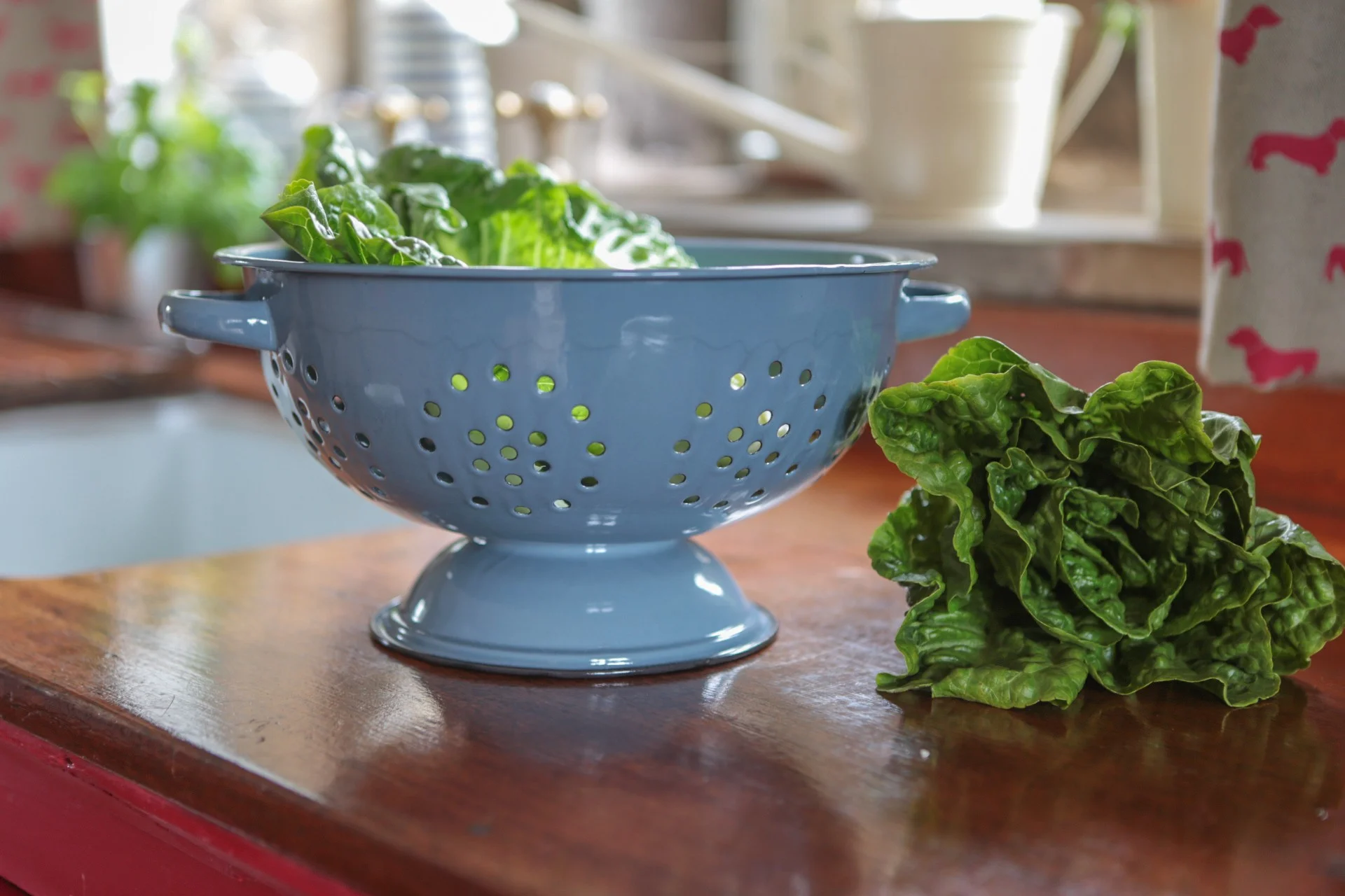 Blue Enamel Colander
