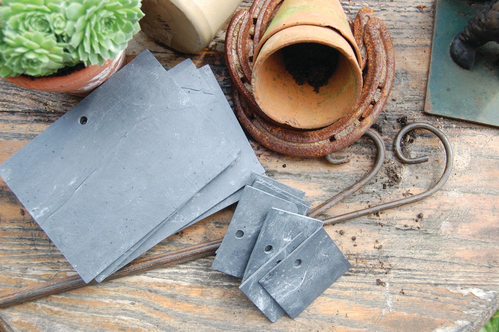 slate labels for plants on canes