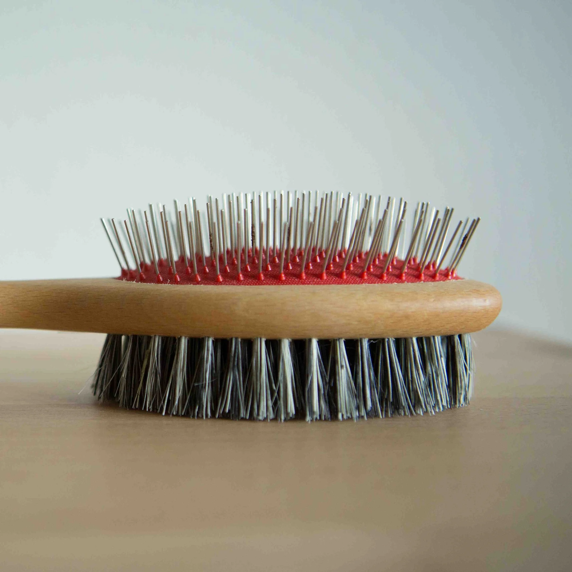 Dog Brush