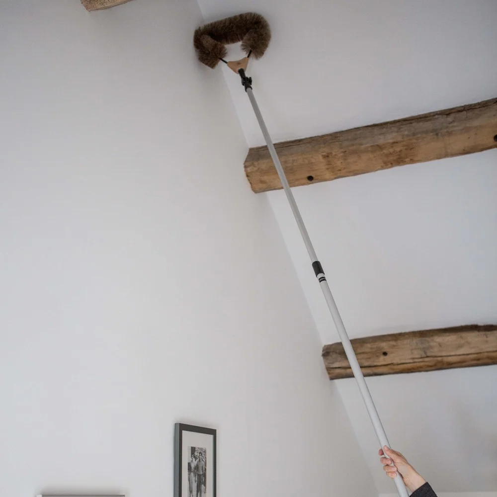 Extendable cobweb brush