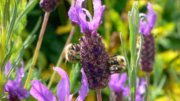 Top Five Tips for Deterring Moths and Looking After Your Clothes5.jpg
