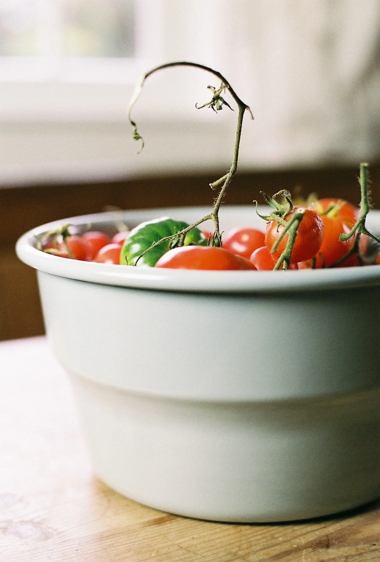 Turner & Harper Enamel Bowl with Tomatoes.jpg