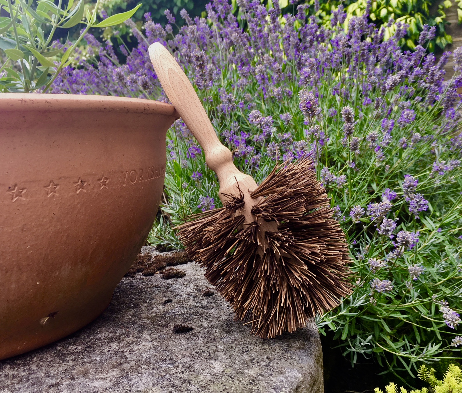 plant pot brush