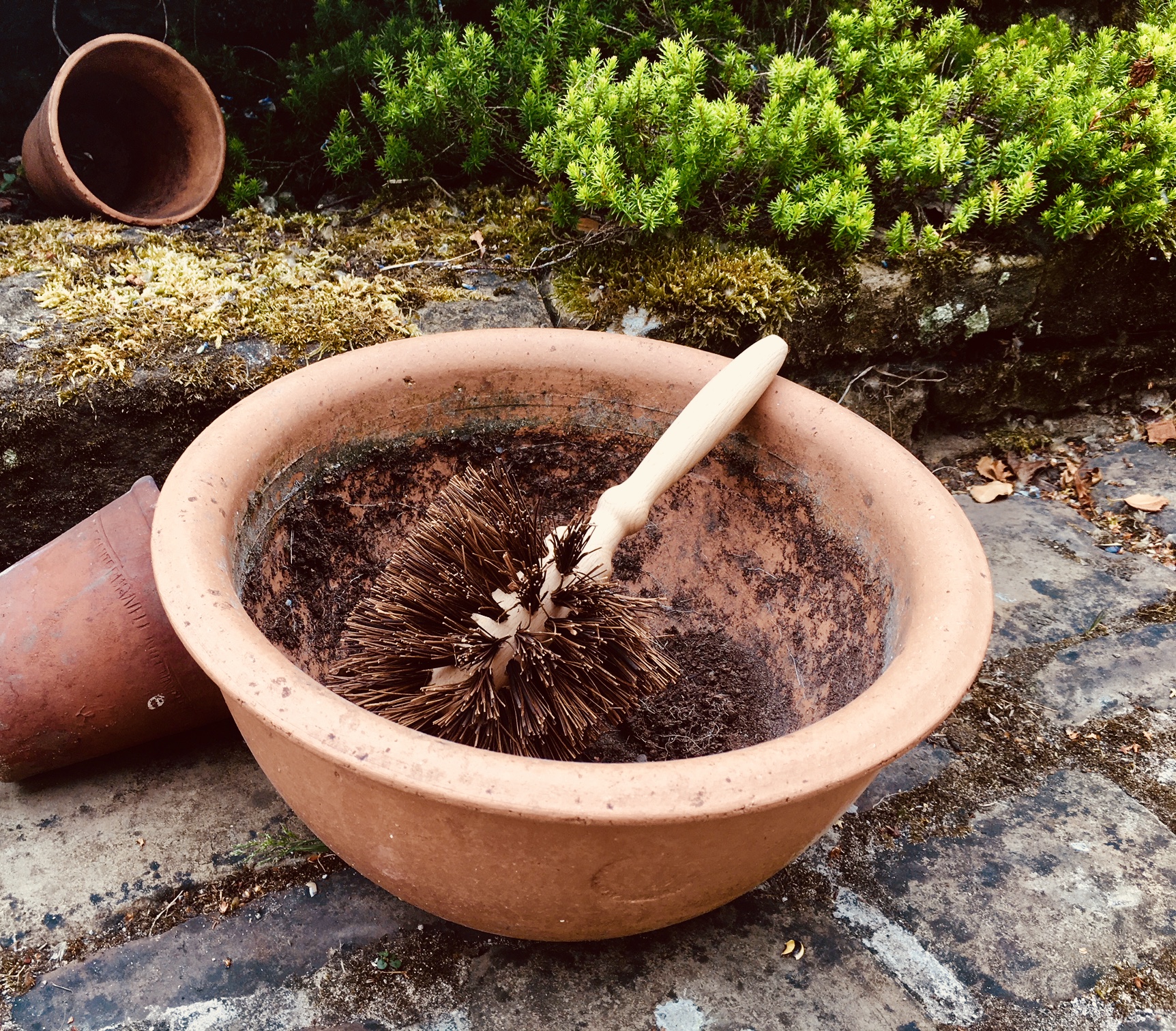 Flower pot brush