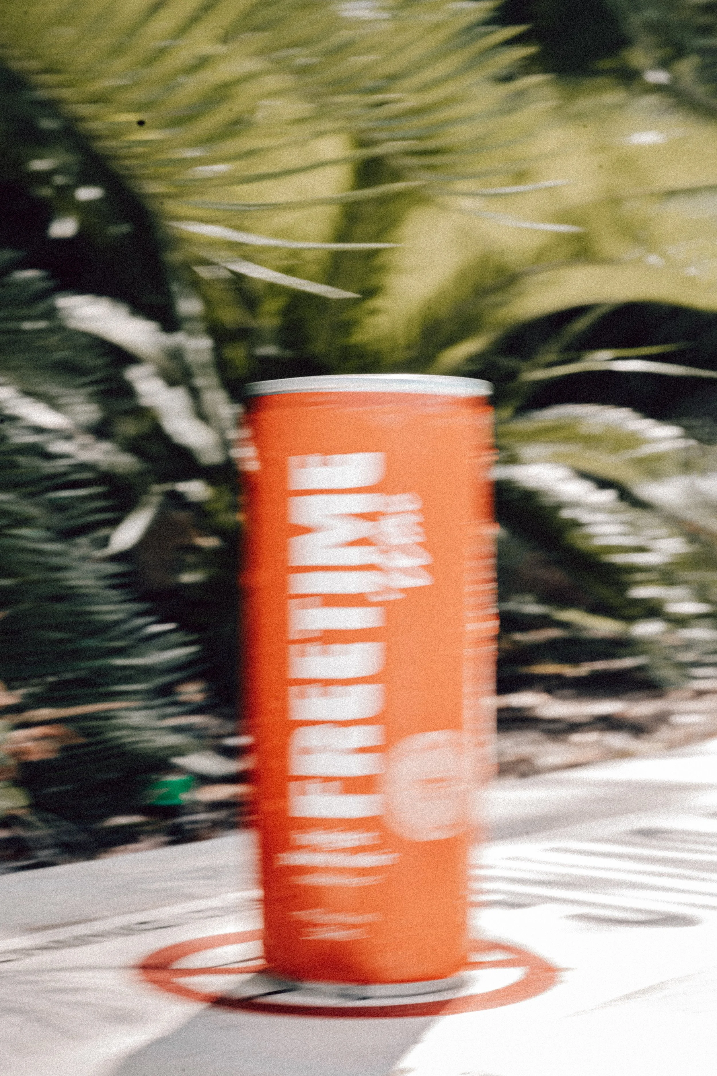 FTW_CANS_SC1-5966.jpg