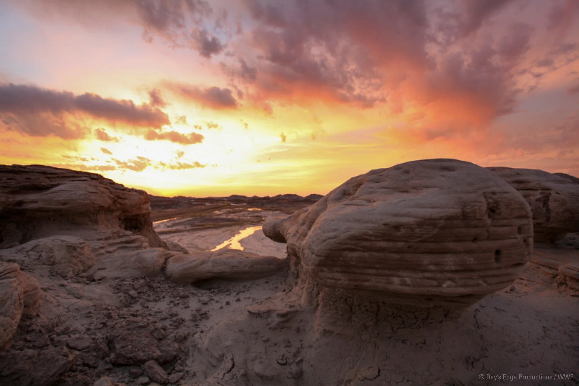 WWF_Badlands_DaysEdge.jpg
