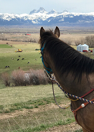 Sierra Easter Ride with Vegas.jpg