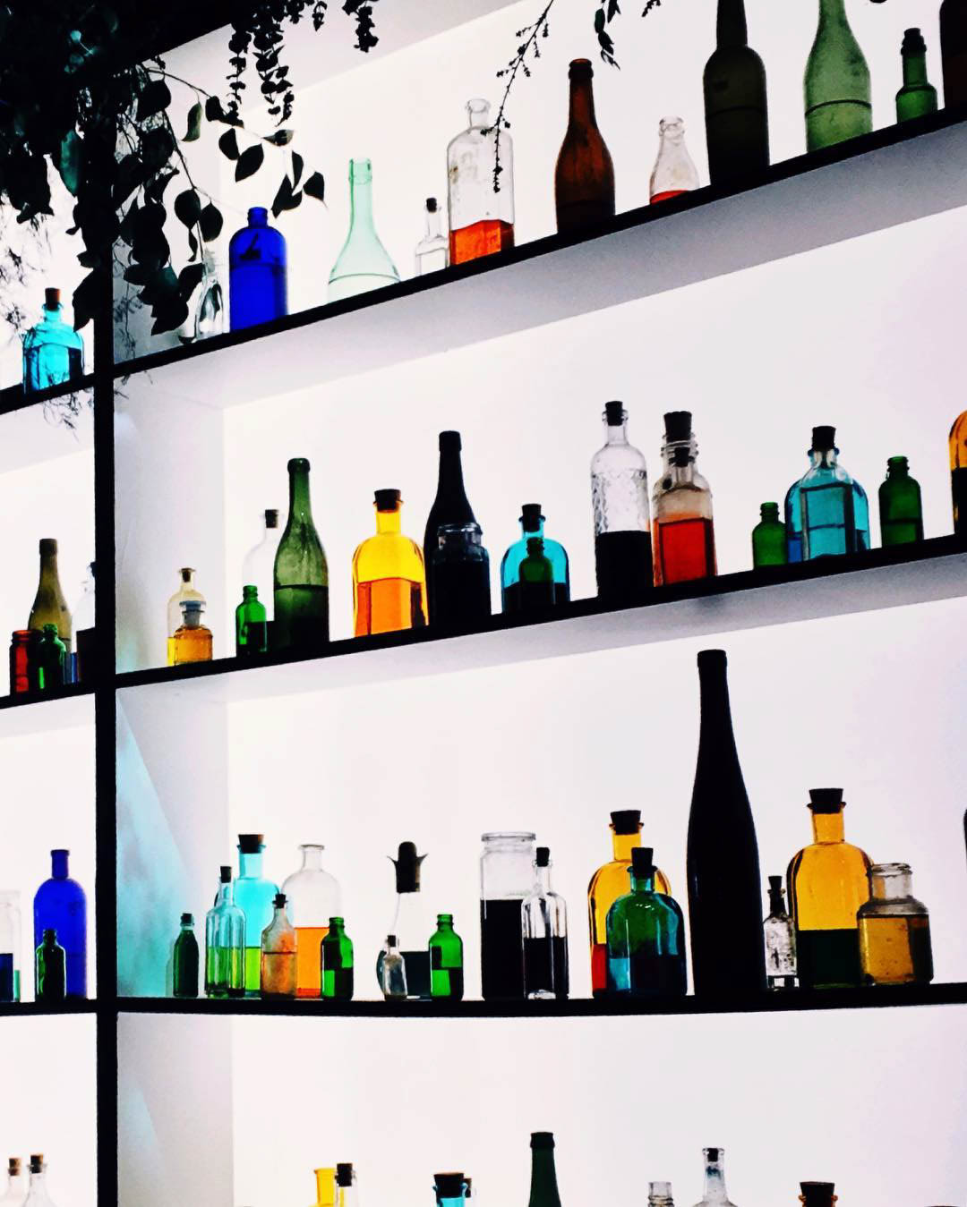 apothecary2.jpg