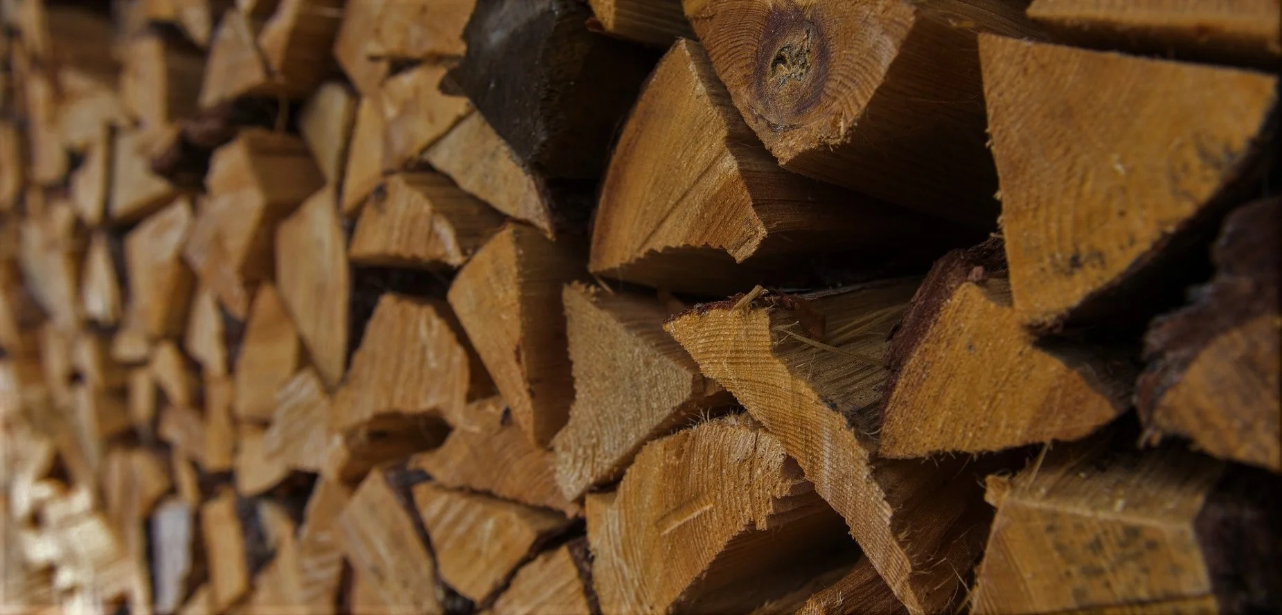 woodpile (3).jpg