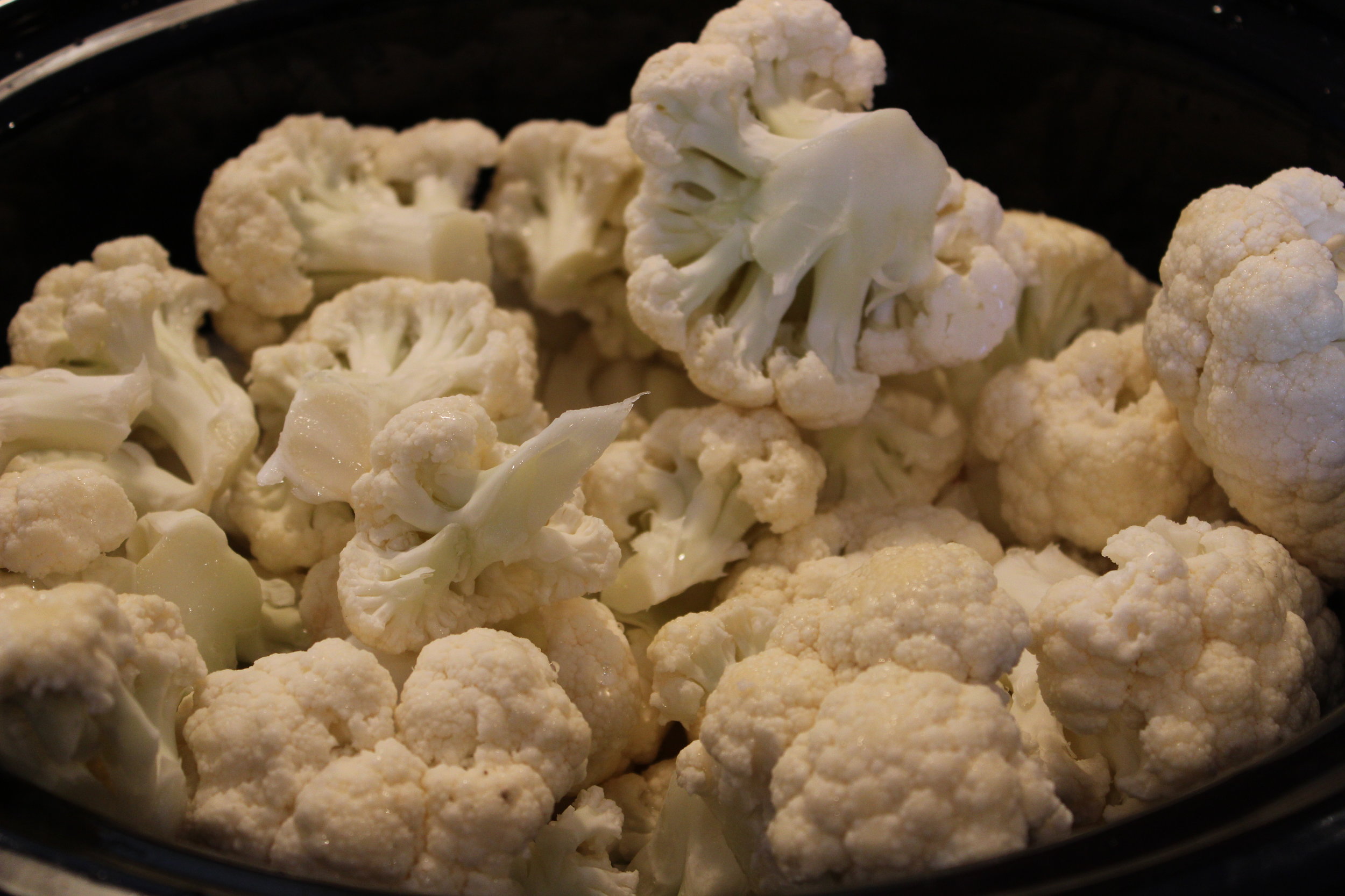 Cauliflower in pot.JPG