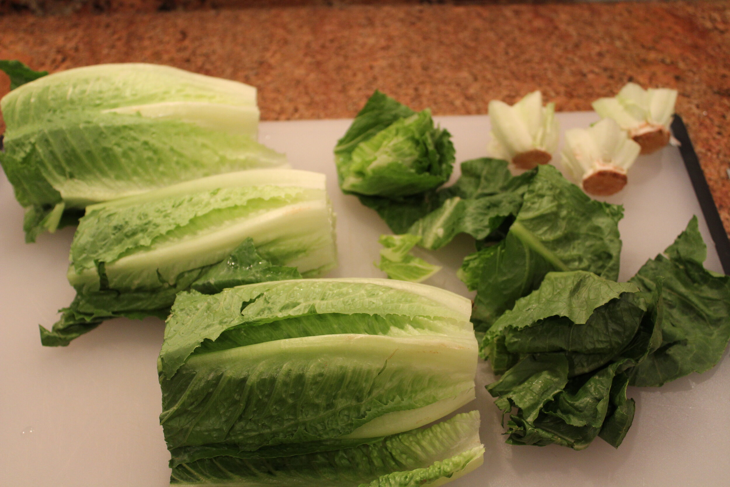 3 lettuce prep 1.JPG