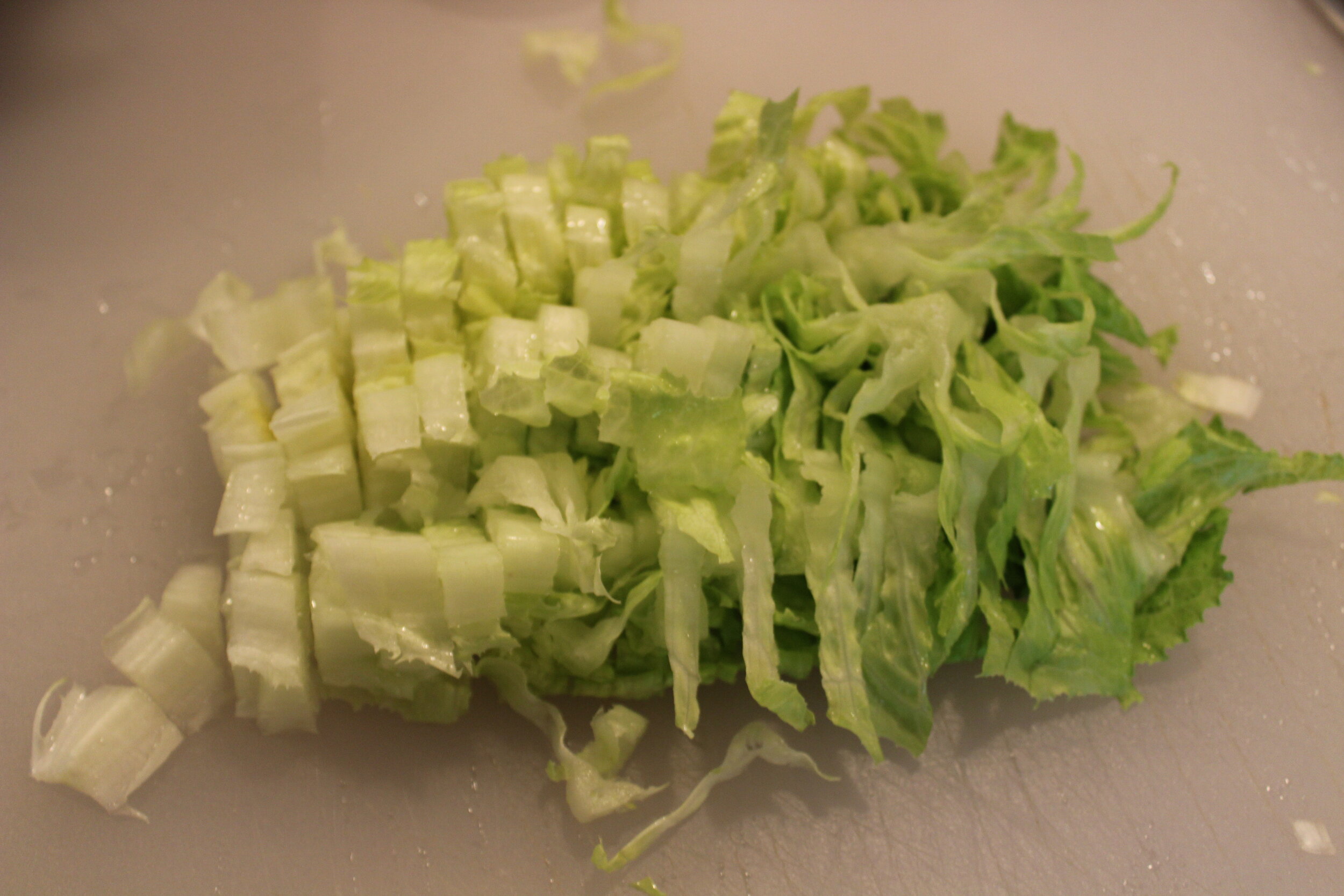 7 Xtra prep lettuce 2.JPG