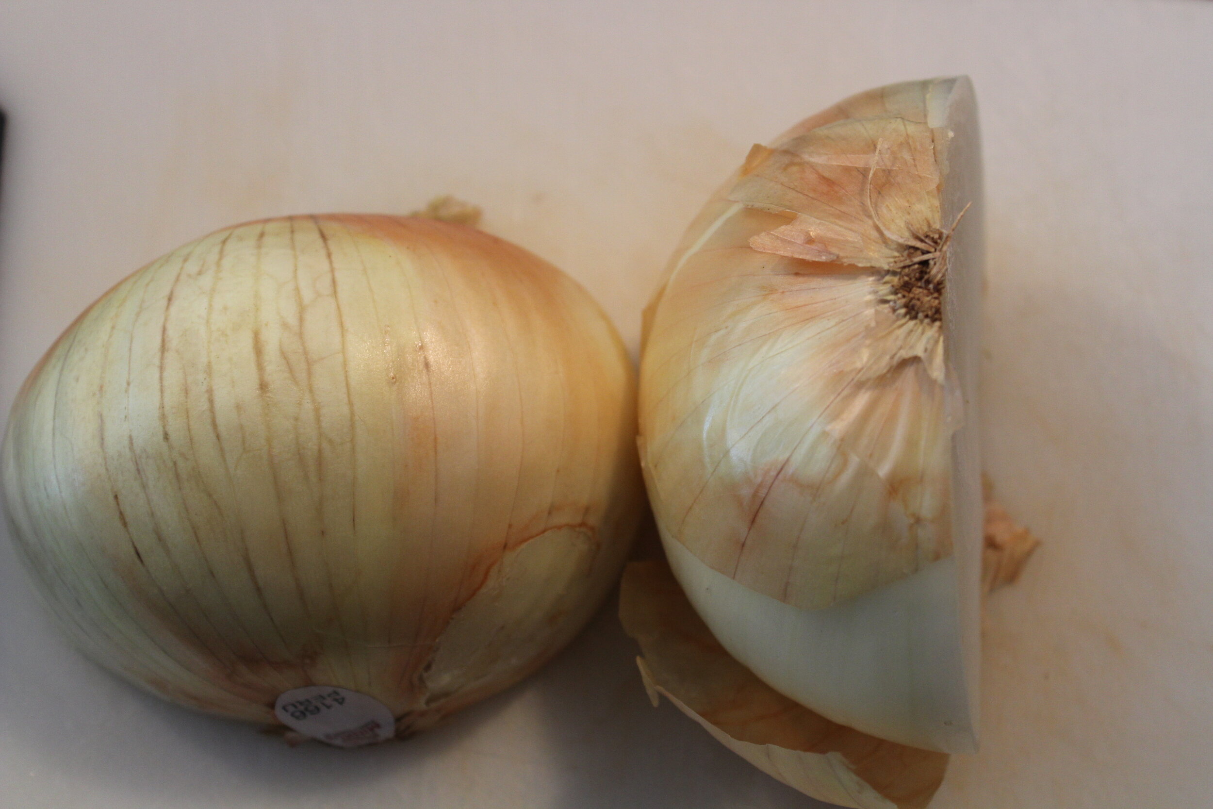 Onion 1.JPG