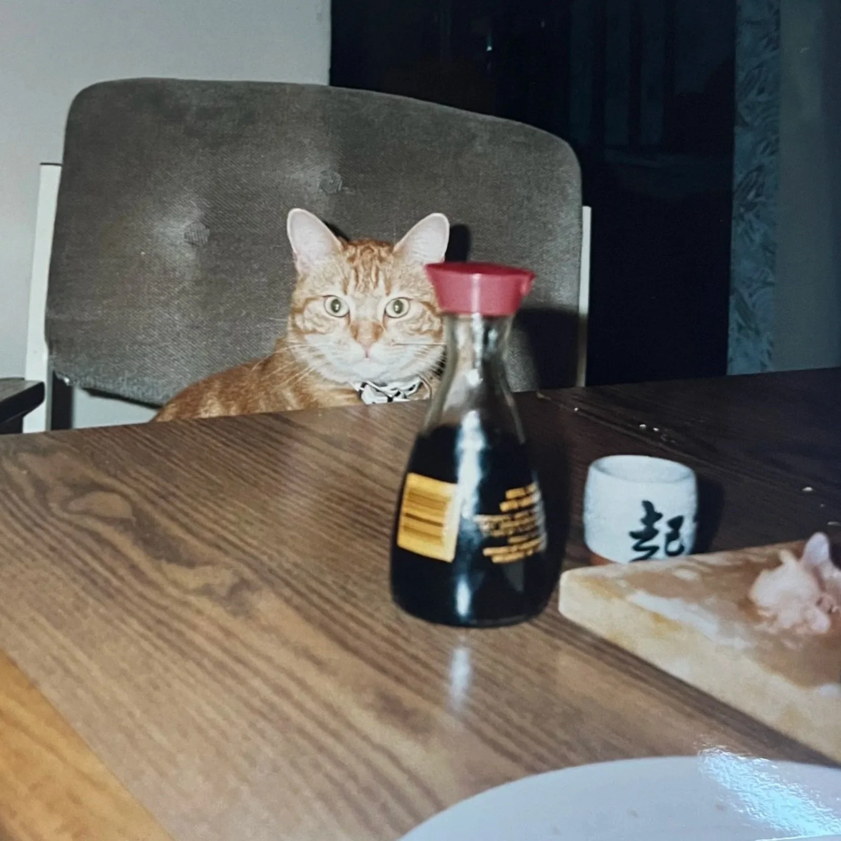 Honey+%26+sushi.jpg