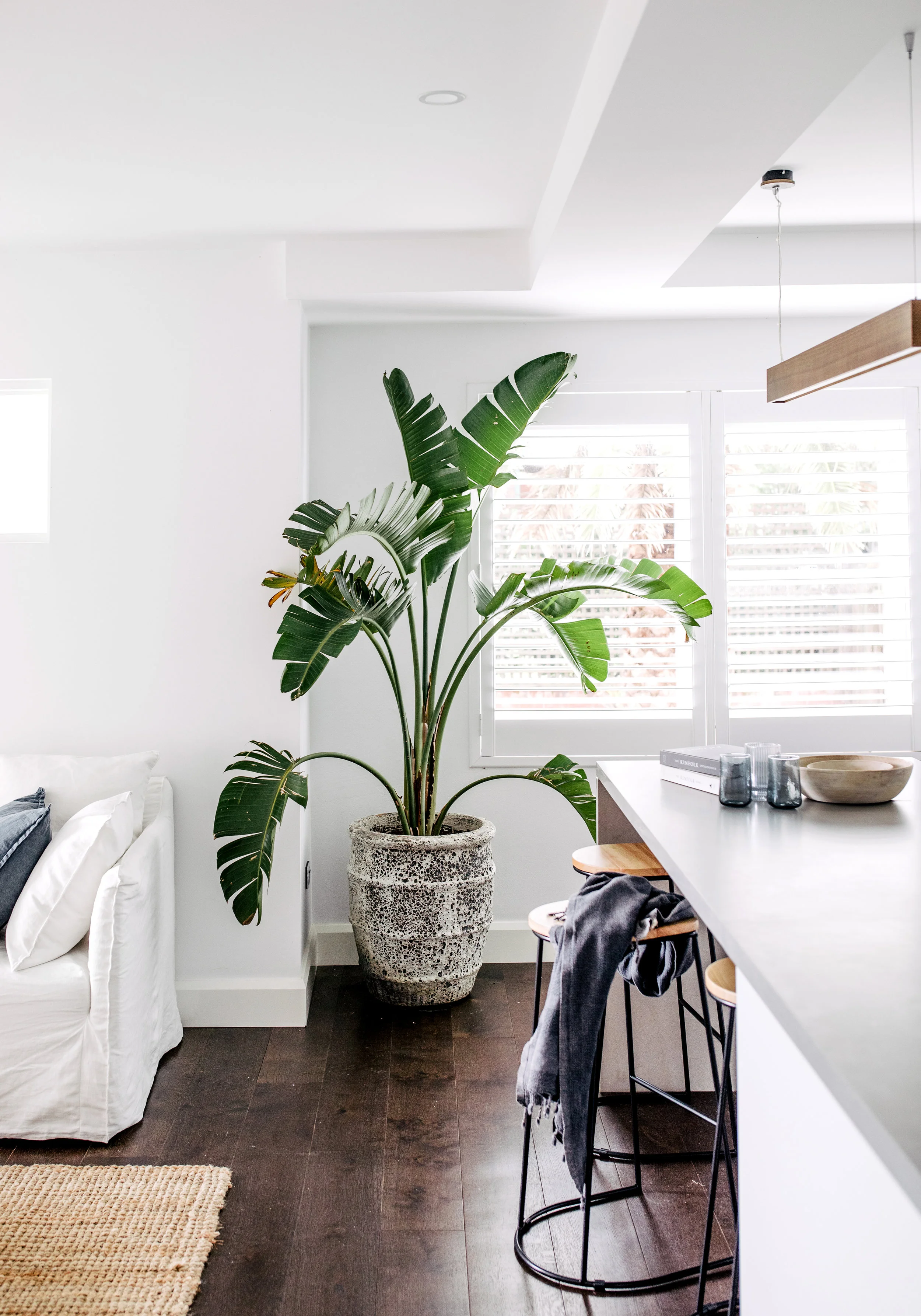 67 Alluring Best Dulux White Paint For Living Room Top Choices Of