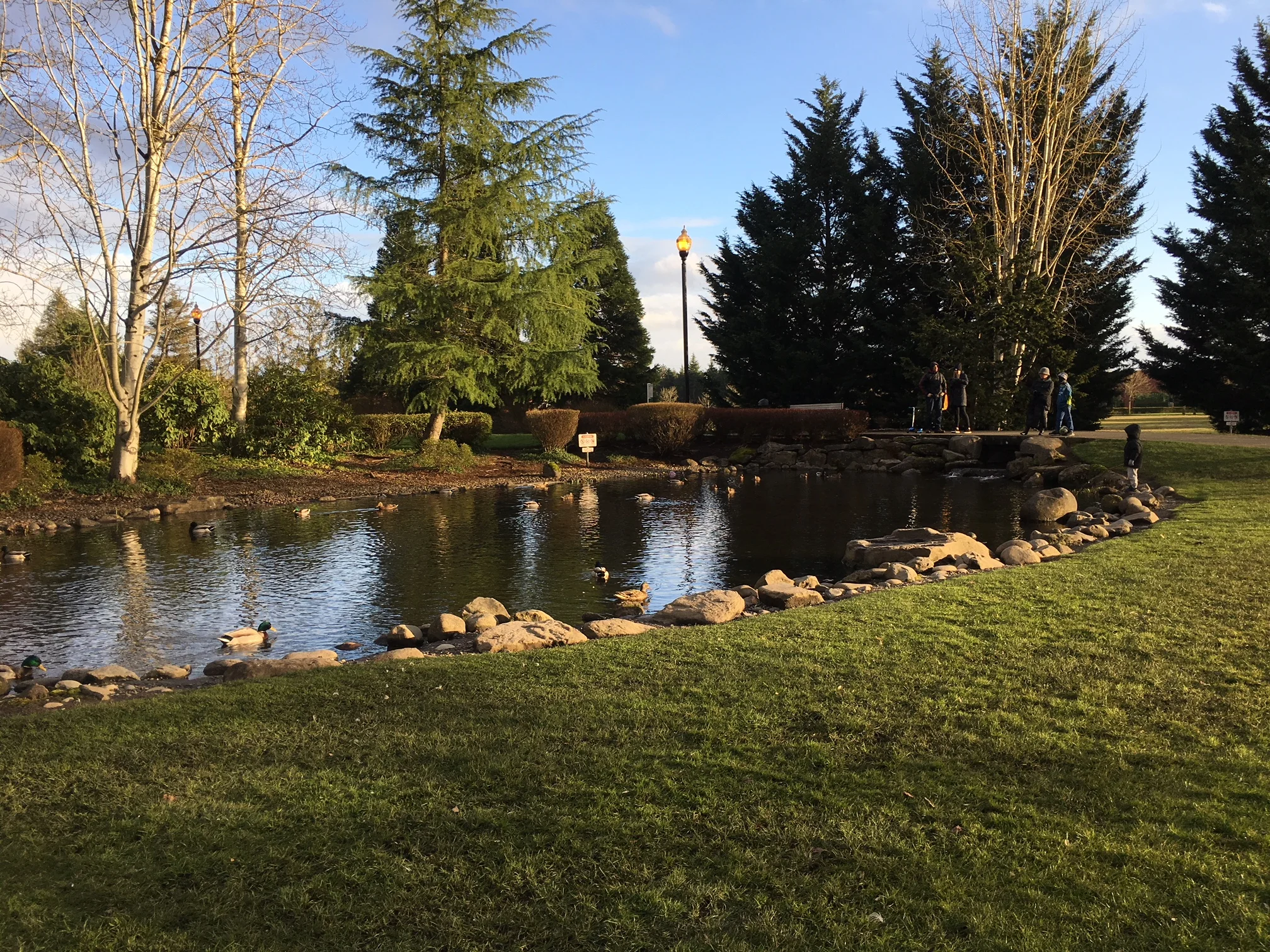 Storm Pond