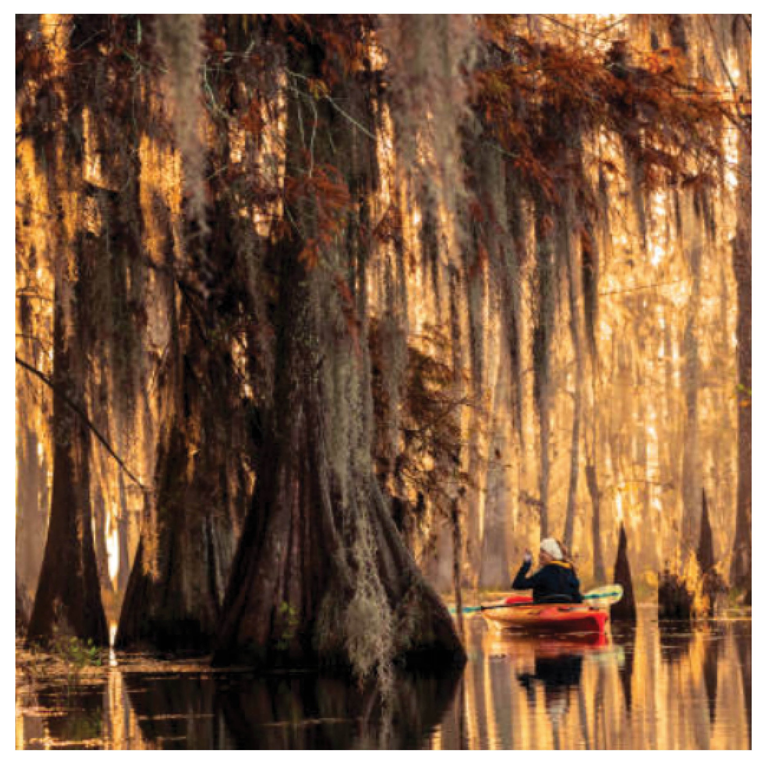 AUD_CoverImage_5x5.jpg