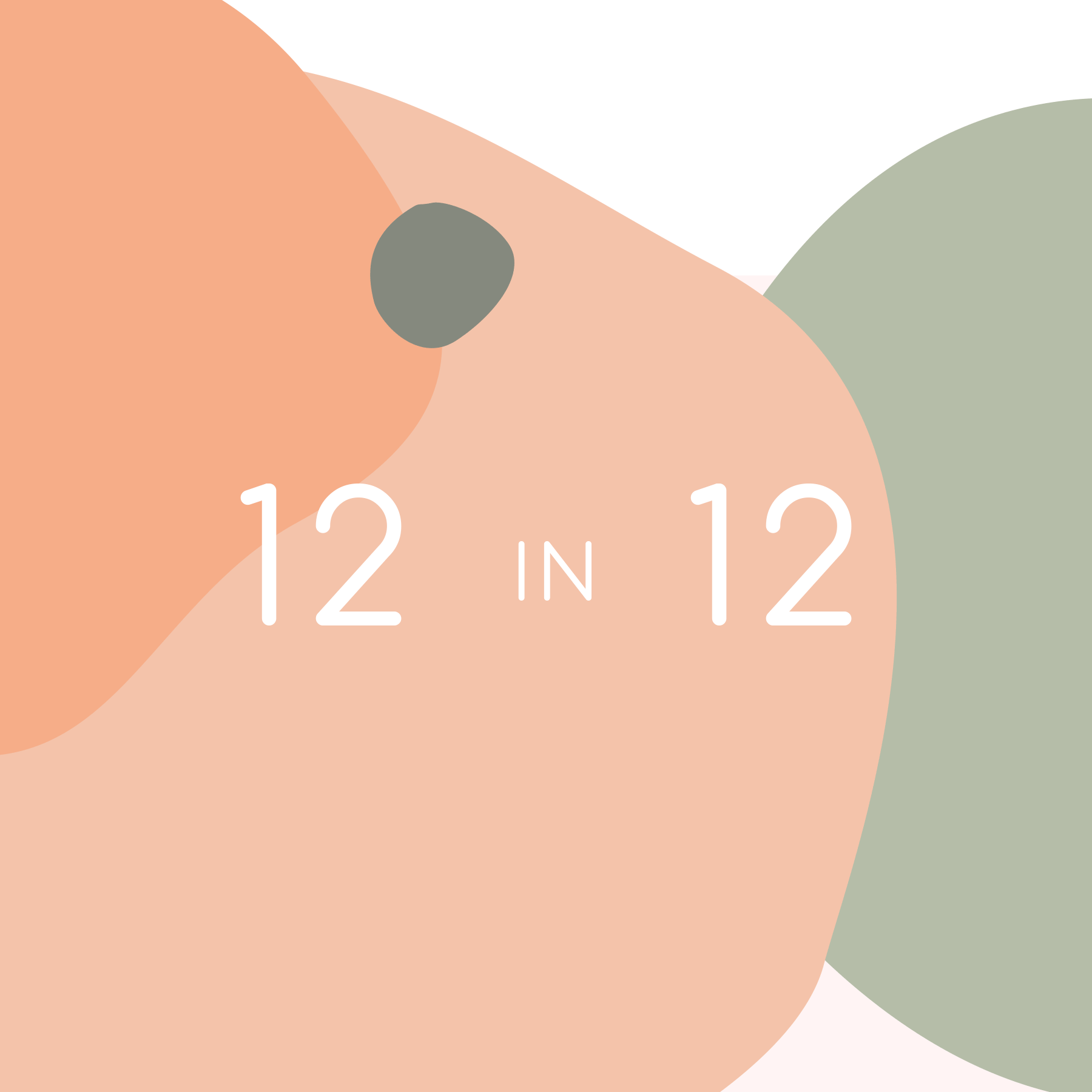12 Projects in 12 Months