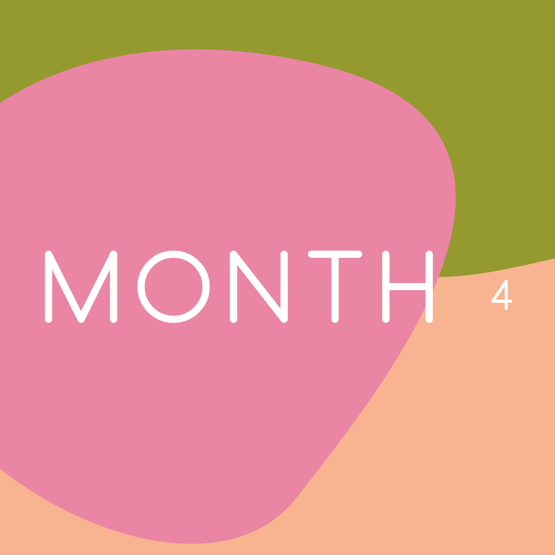 Project 4. Watercolour Workshops.