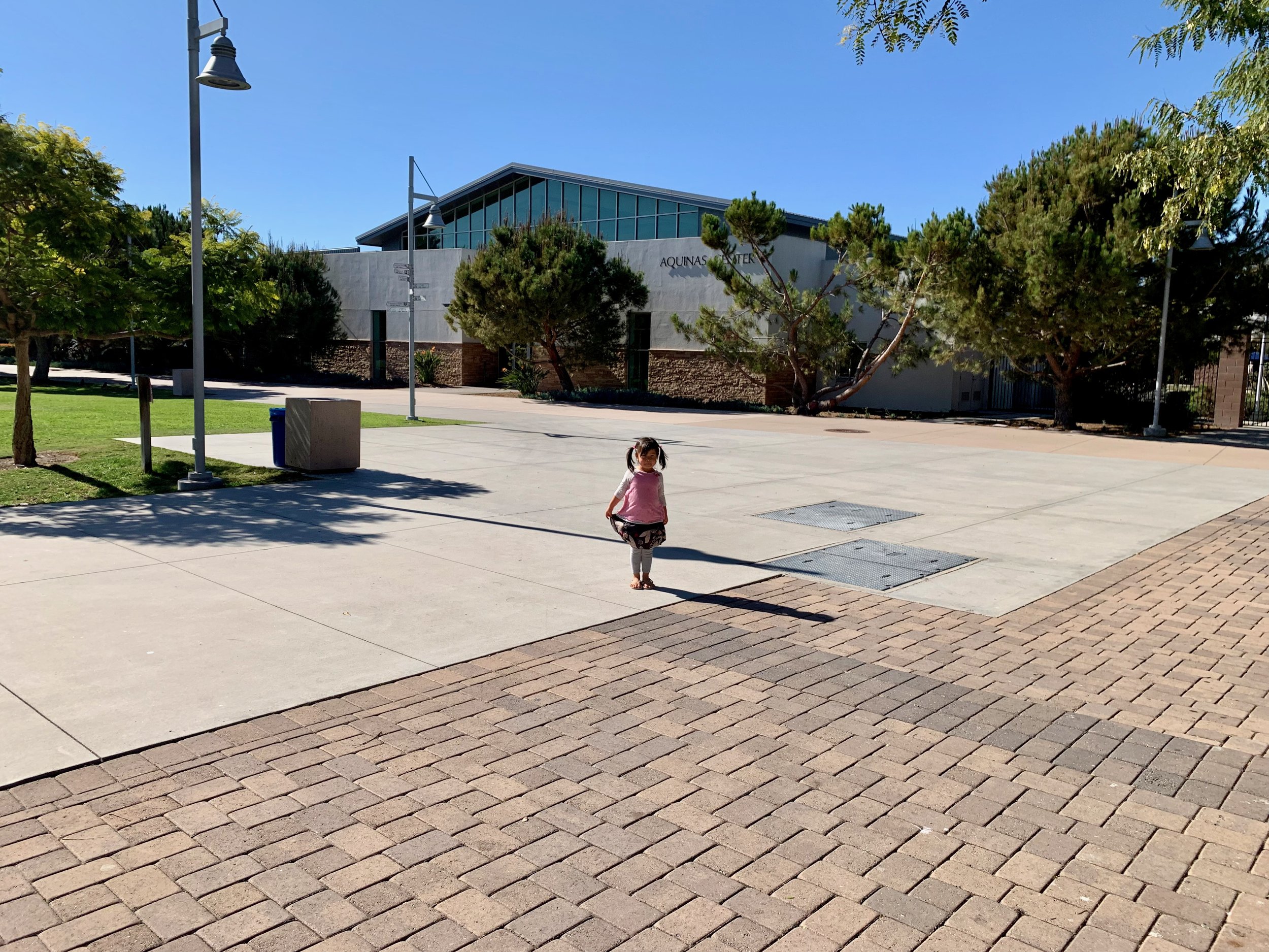 IMG_8269.jpeg