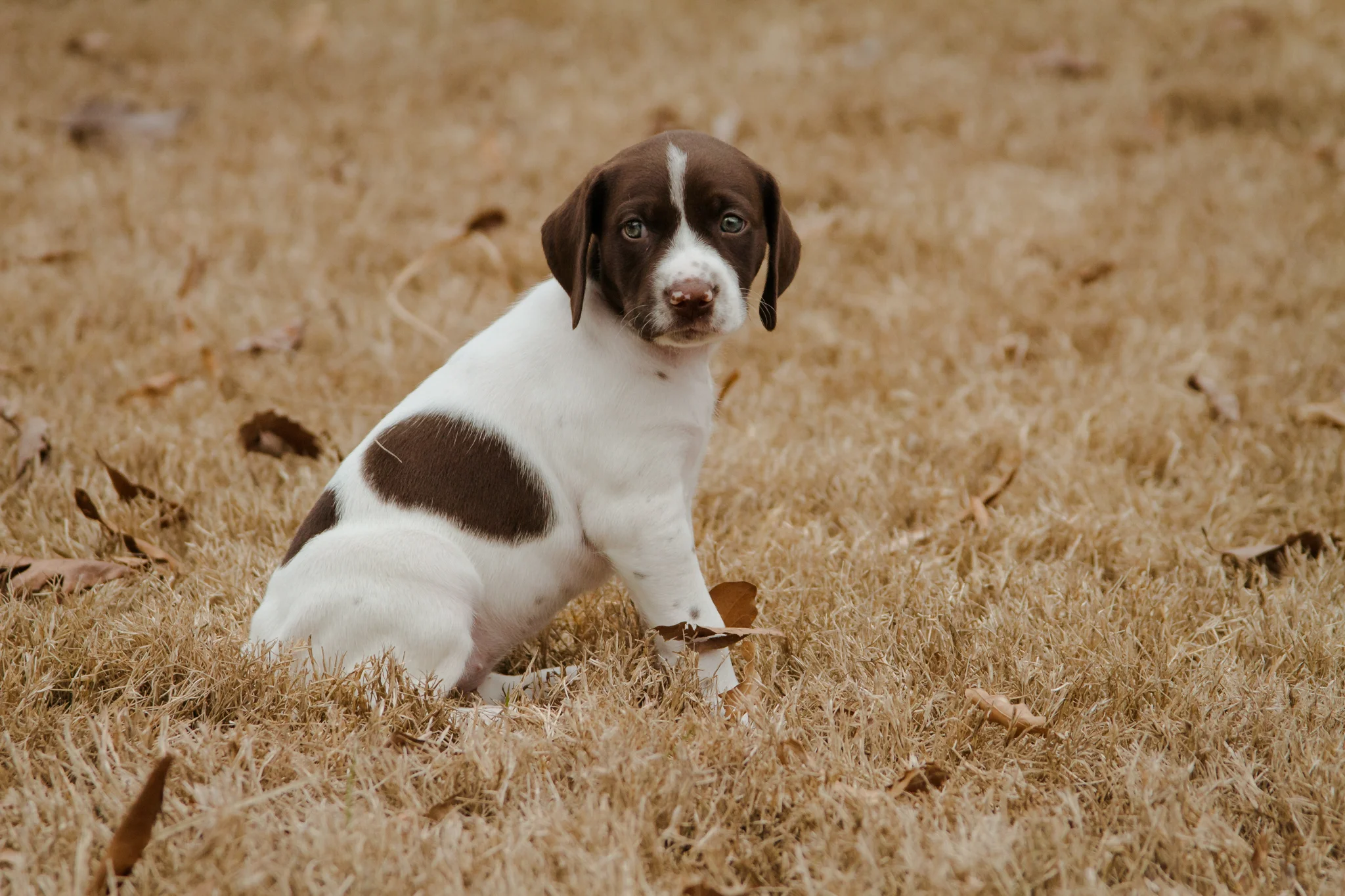 Winnie | 5 Weeks