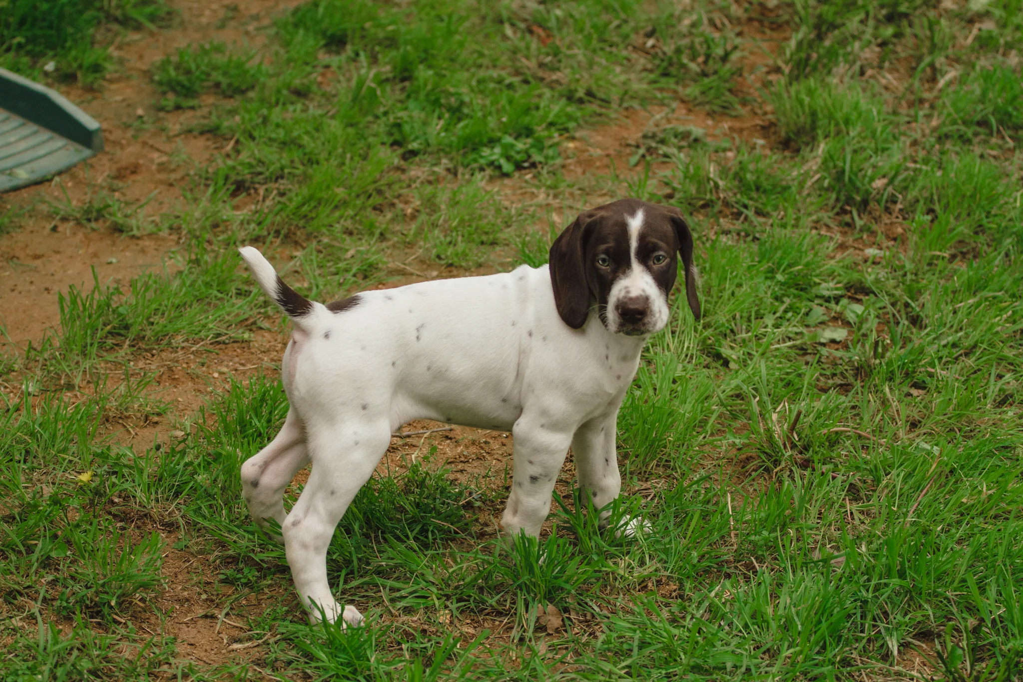 Max | 5 Weeks