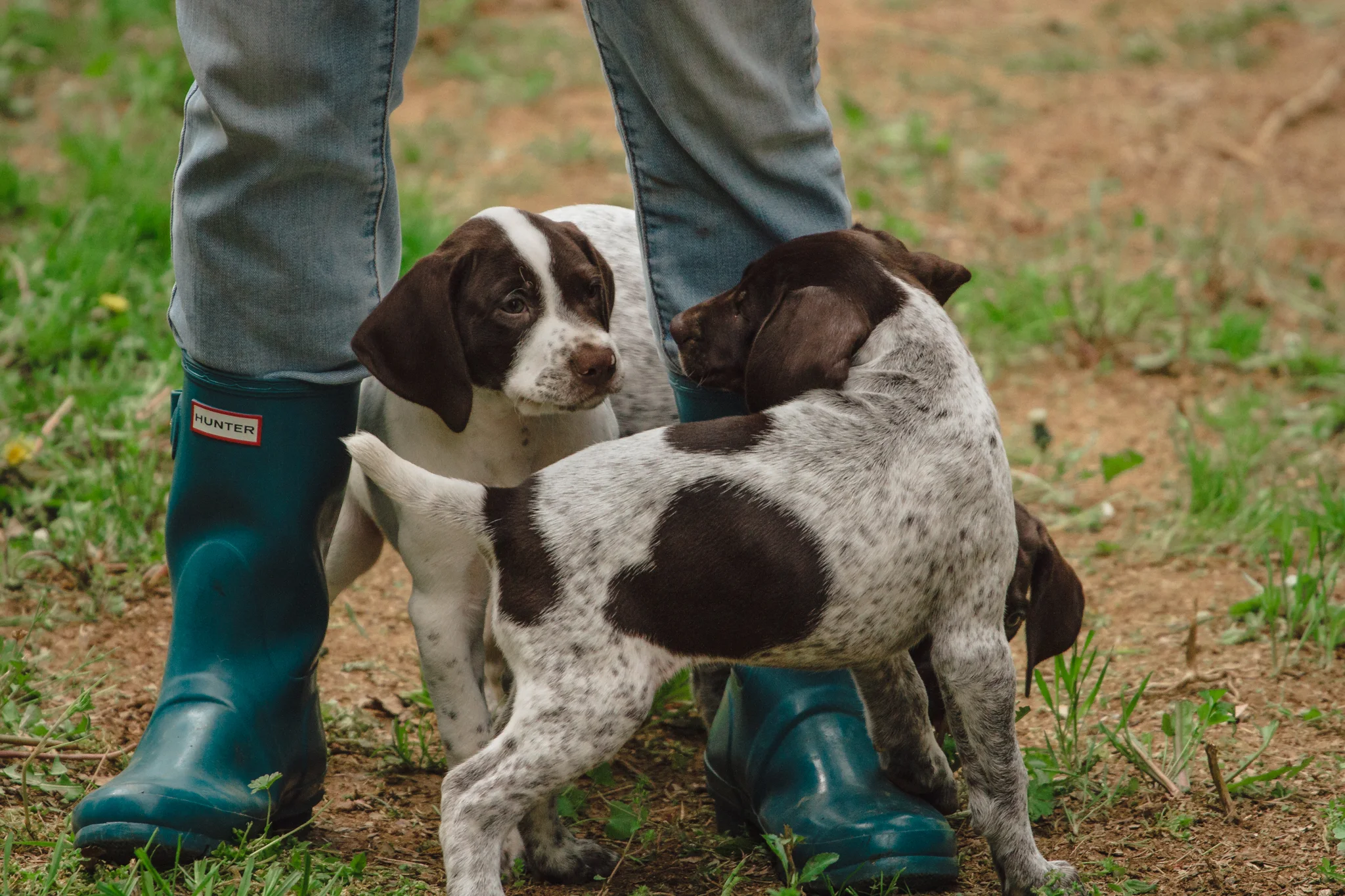 First trip to the Backyard such that it is..