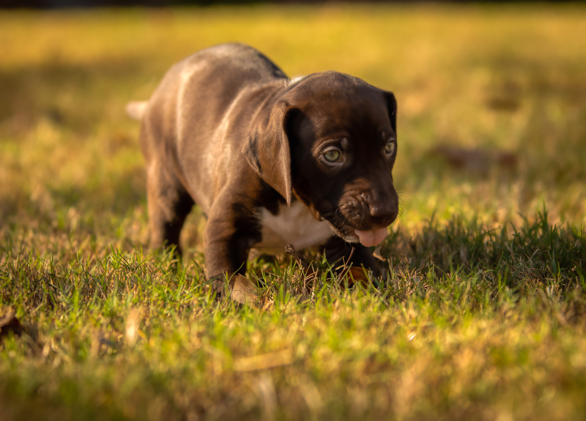 _W0A9713_AuroraHDR2019-edit.jpg
